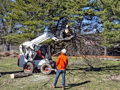 Two workers trimming tree branches with a Bobcat. One is in the machine; the other is on the ground holding a chainsaw, outdoors.