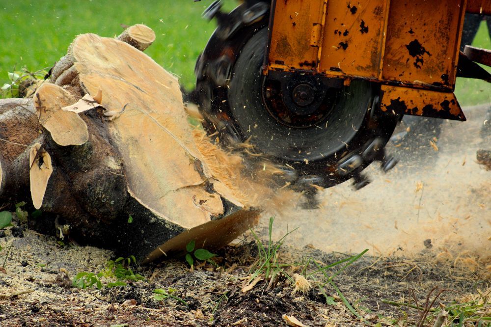 stump grinding