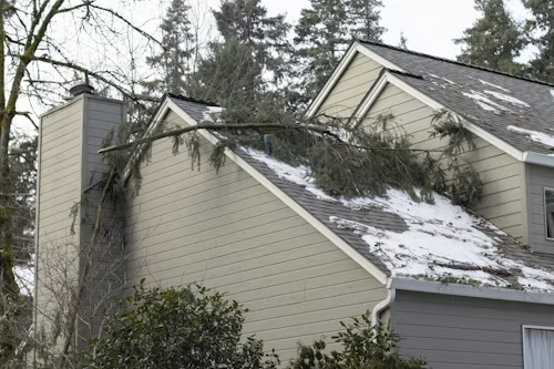 A house with snow on the roof has a large tree branch resting on it.