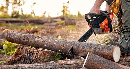 Man using a chainsaw to cut a log outdoors, creating sawdust.