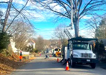 Tree trimming in a residential street, with a bucket truck and workers; sunny day.