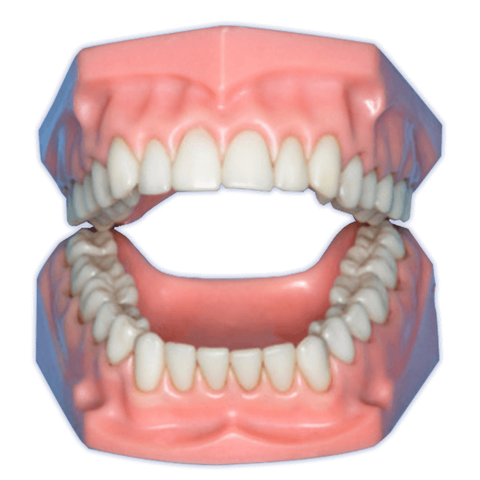 CLÍNICA PRO DENTAL - Dentistas