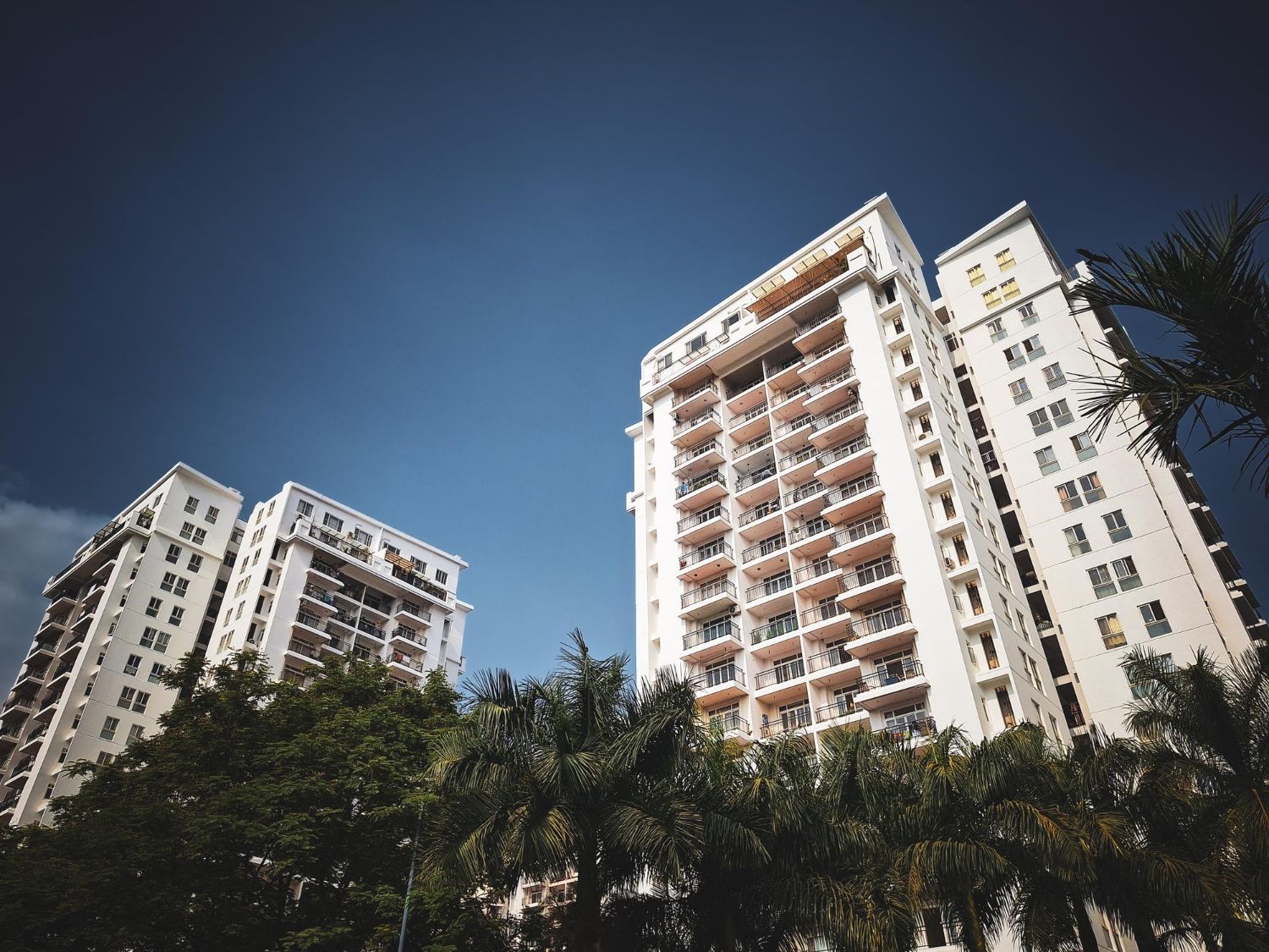 Looking up at two tall buildings with palm trees in the foreground