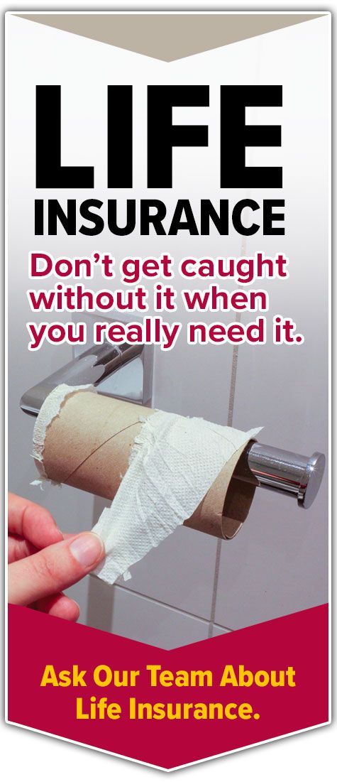 A person is holding a roll of toilet paper in their hand.