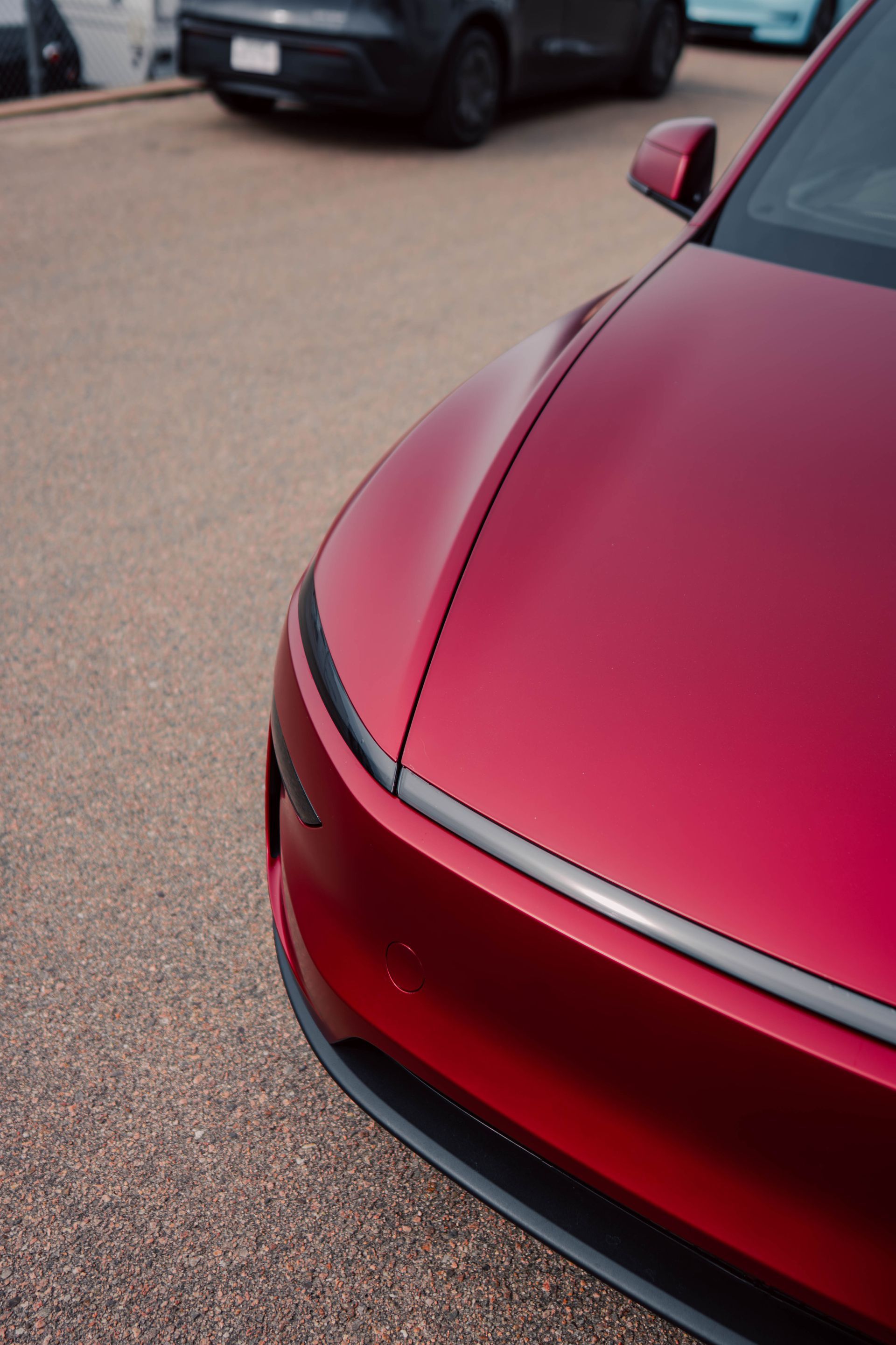 A matte finished front end protected with paint protection film at 719 Auto Customs