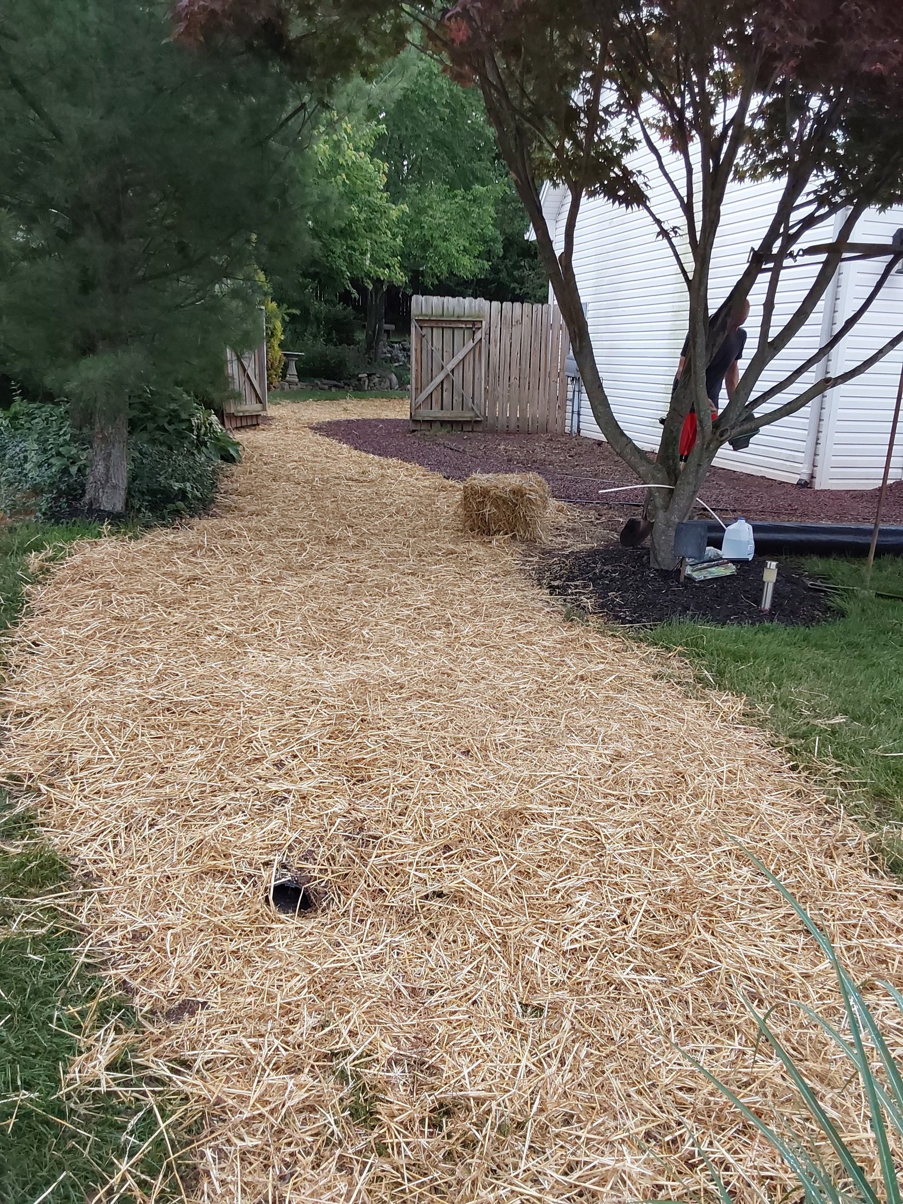 a path covered in wood chips leading to a house
