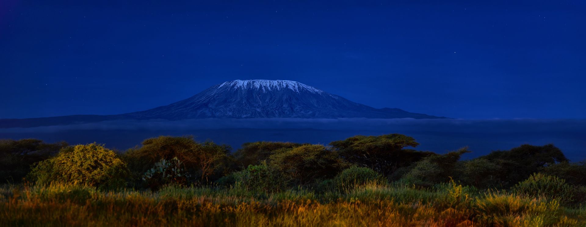 Mount Kilimanjaro at twilight, its snow-capped peak rising above dark silhouettes of trees and savanna grass.