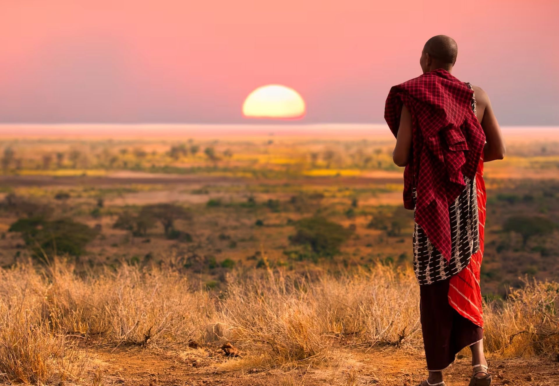 A person in traditional red Maasai shuka stands on a hill overlooking a vast savannah at sunset.