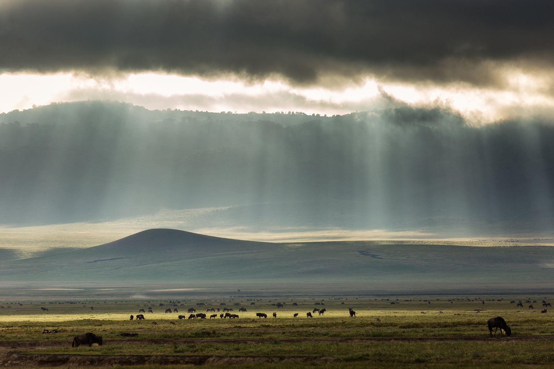 Sunlight streaks through dark clouds over a vast savanna with grazing wildebeest and distant rolling hills.