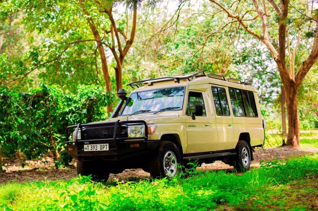 A beige off-road safari vehicle parked on a grassy path surrounded by trees.