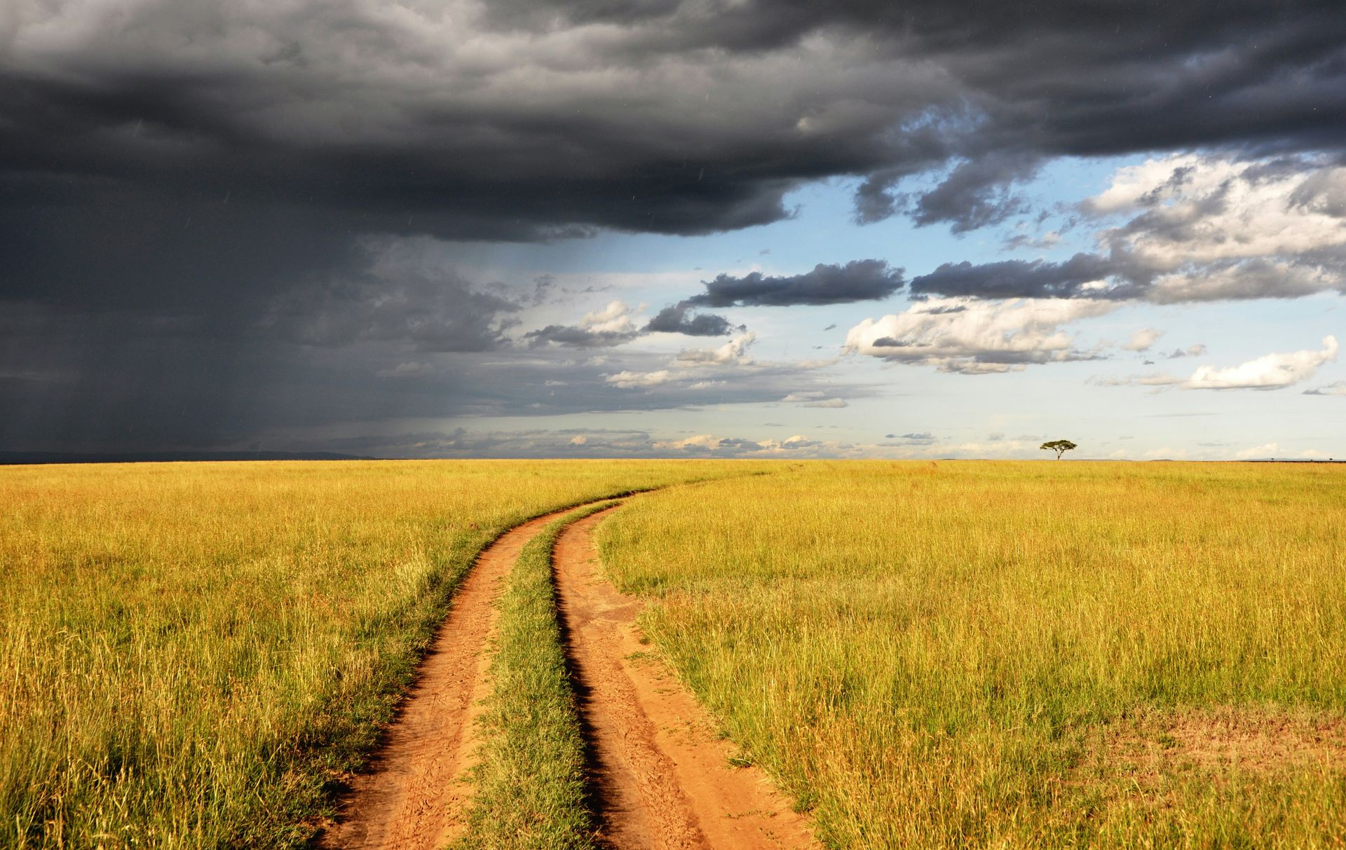 A dirt track leads through a vast, golden savanna under a dramatic sky with dark storm clouds and bright sunlight.