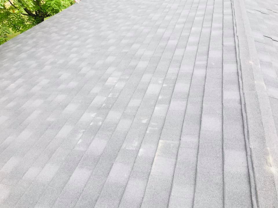 Gray shingled roof with a row of trees visible along the left edge