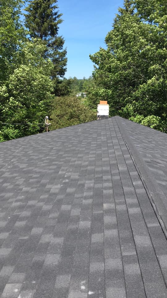 Dark shingle roof leading to a small chimney, surrounded by tall green trees under a clear sky.