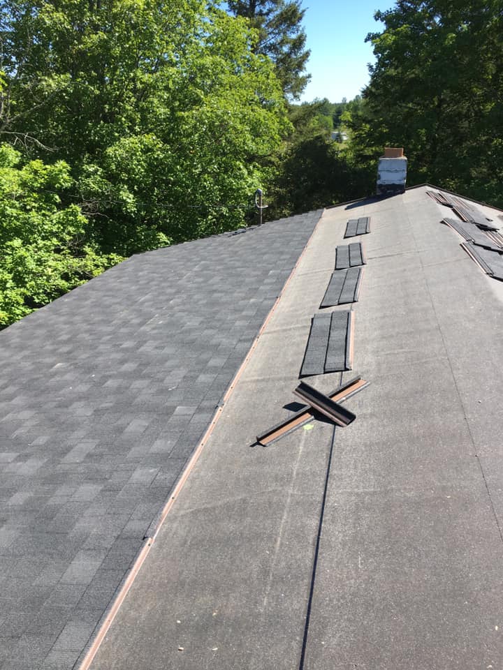 Shingled roof with two vents, a ladder or tool near the ridge, and trees in the background