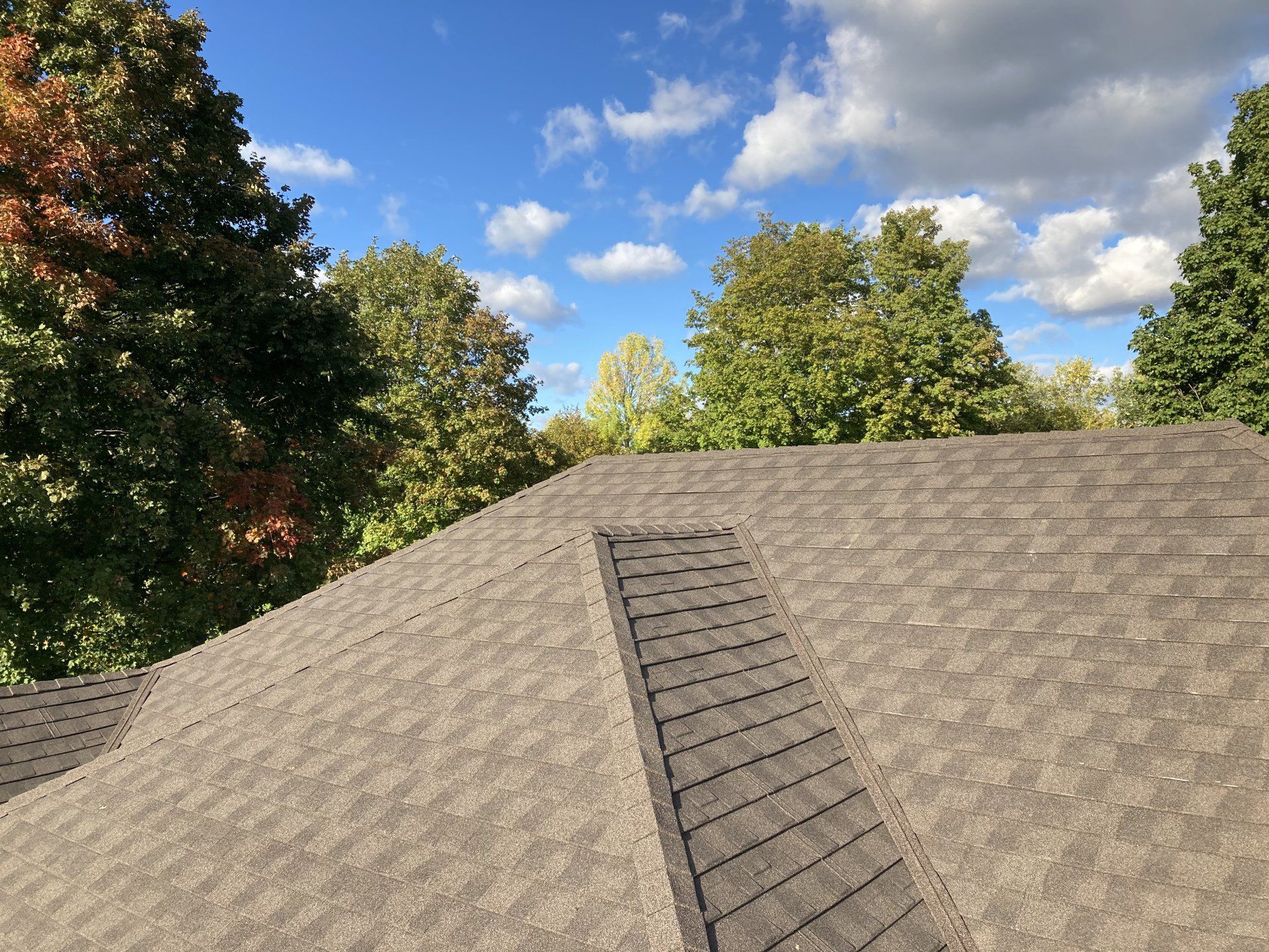 Shingled rooftop with a dark ridge vent against a blue sky and green trees
