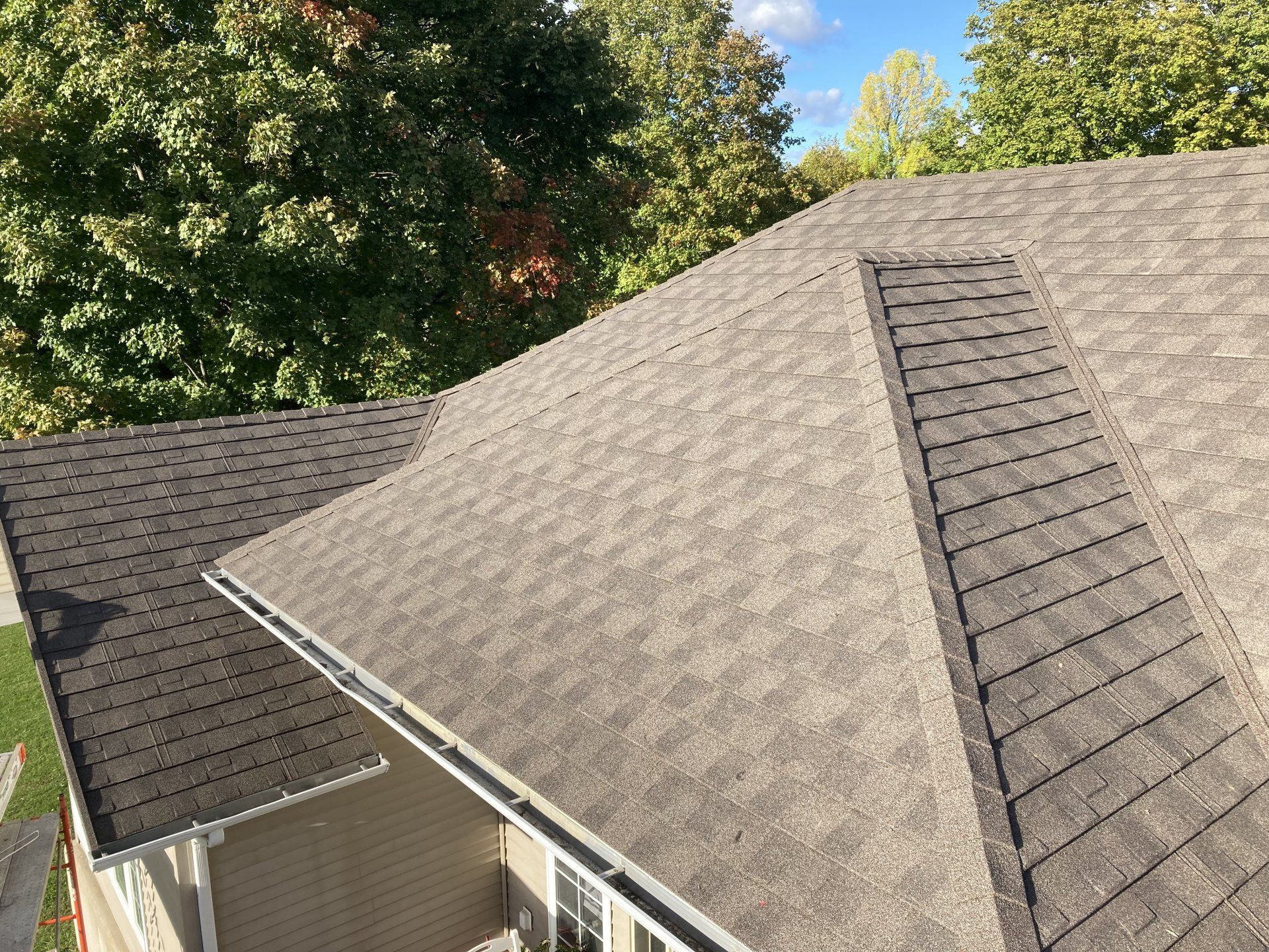 Aerial view of a house roof with gray shingles and surrounding green trees under a sunny sky