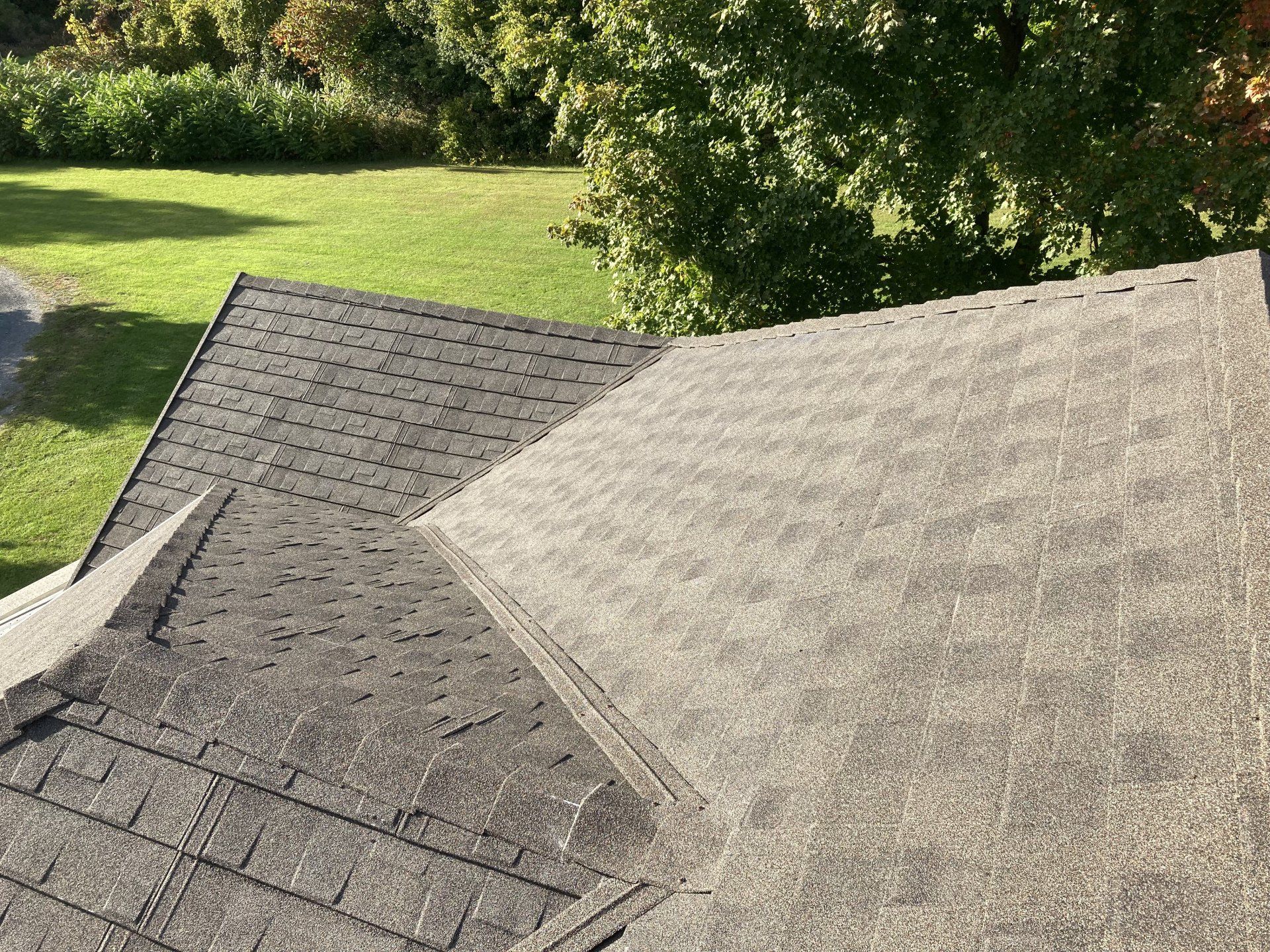 Two shingled house rooftops with a green tree and lawn in the background