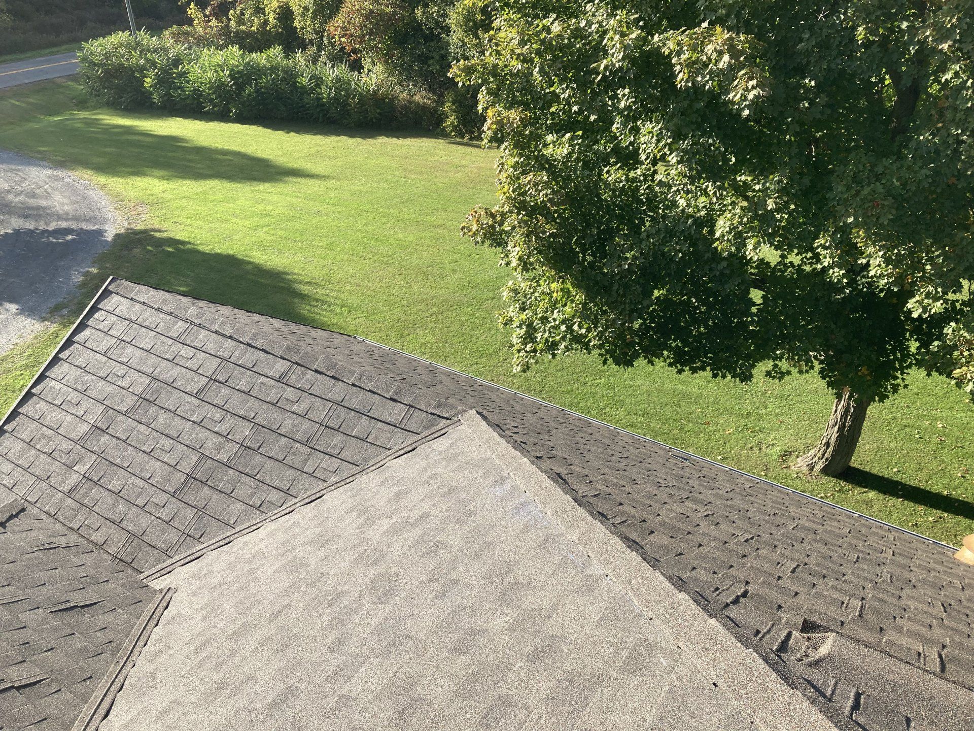 Roof overlooking a green lawn and trees in bright sunlight