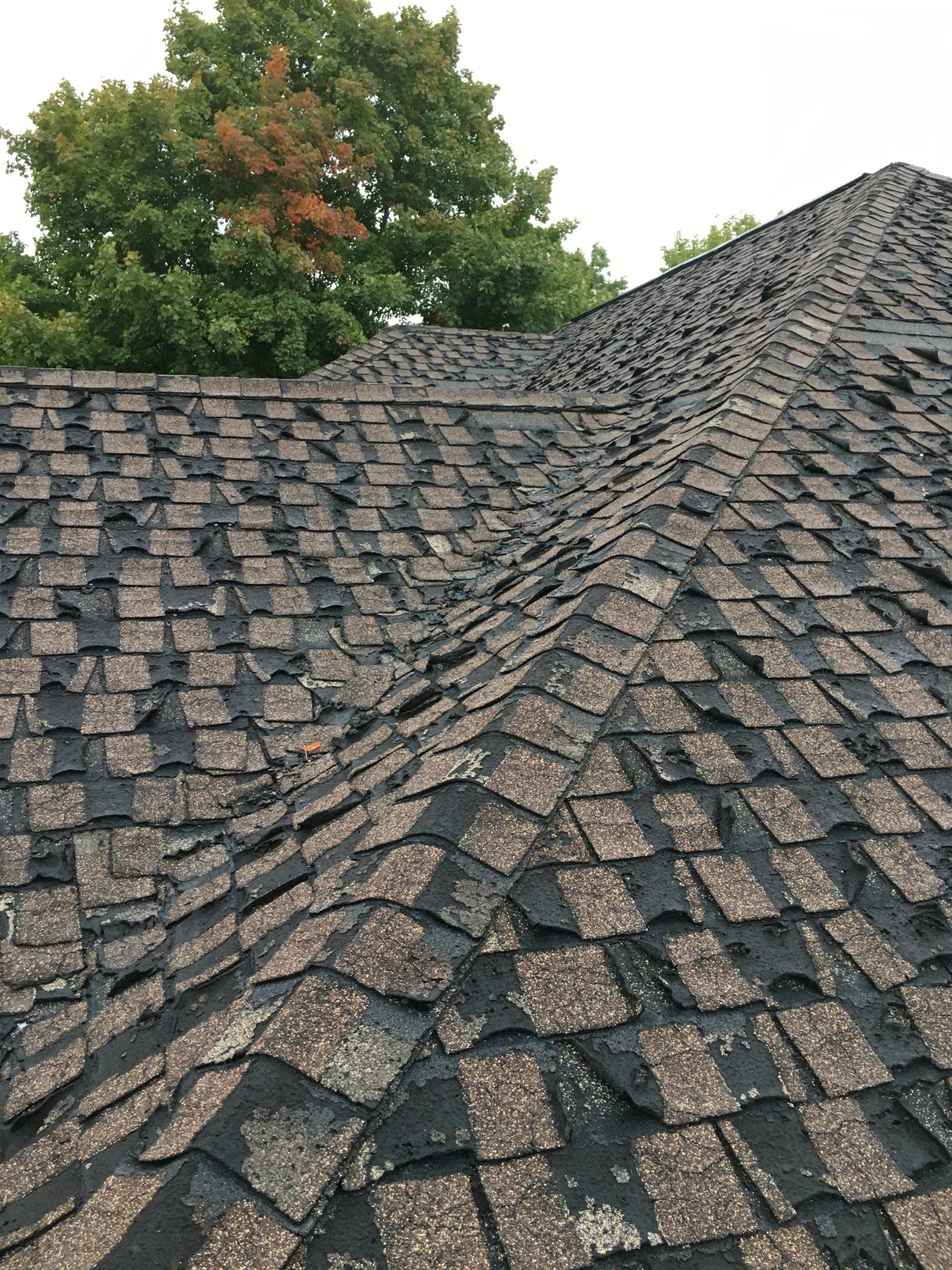 Weathered gray shingled roof with a steep valley, trees in the background