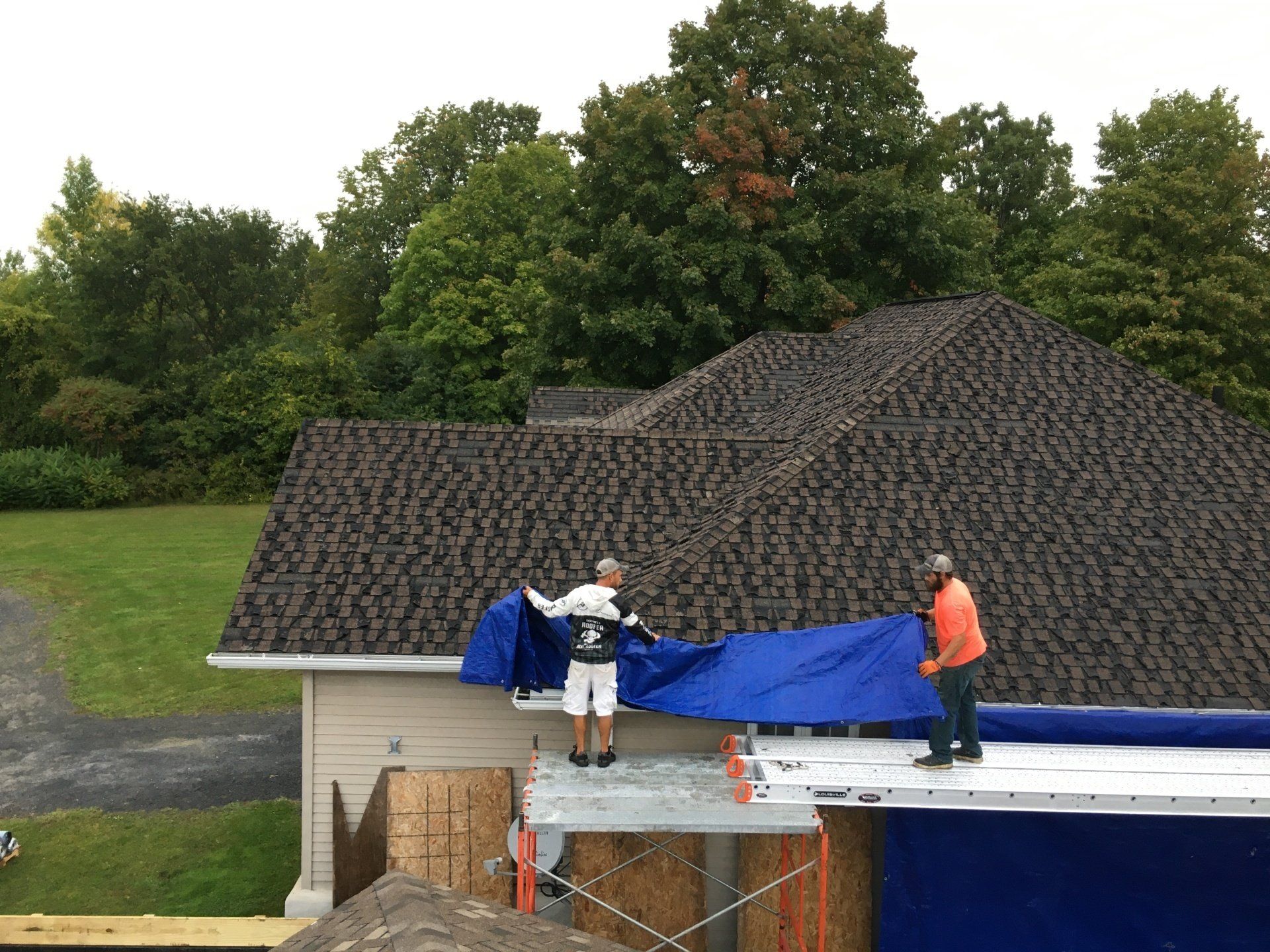 Workers on a roof securing a blue tarp over storm damage near trees.