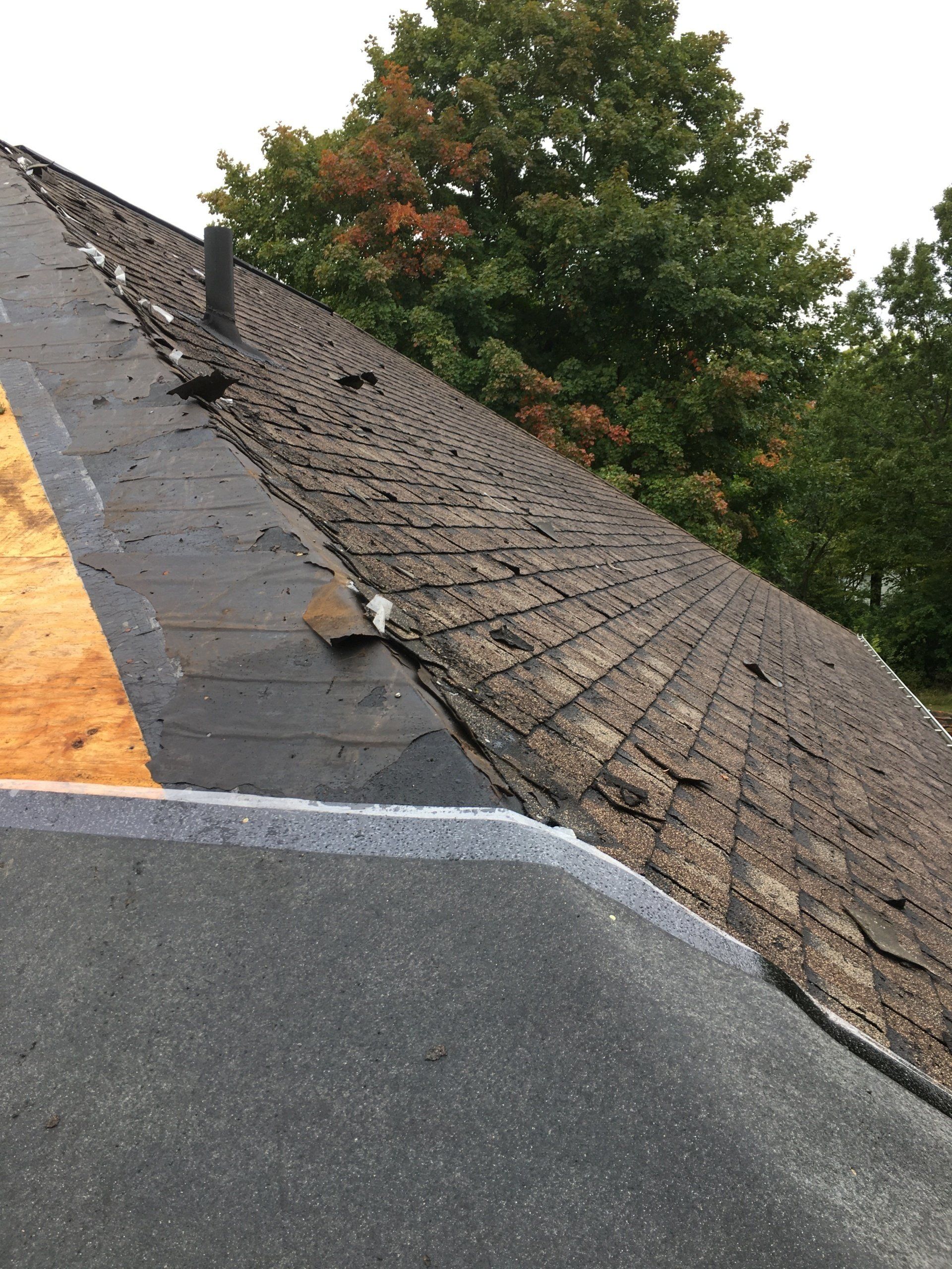 Damaged shingled roof with a gray flat roof edge and trees in the background