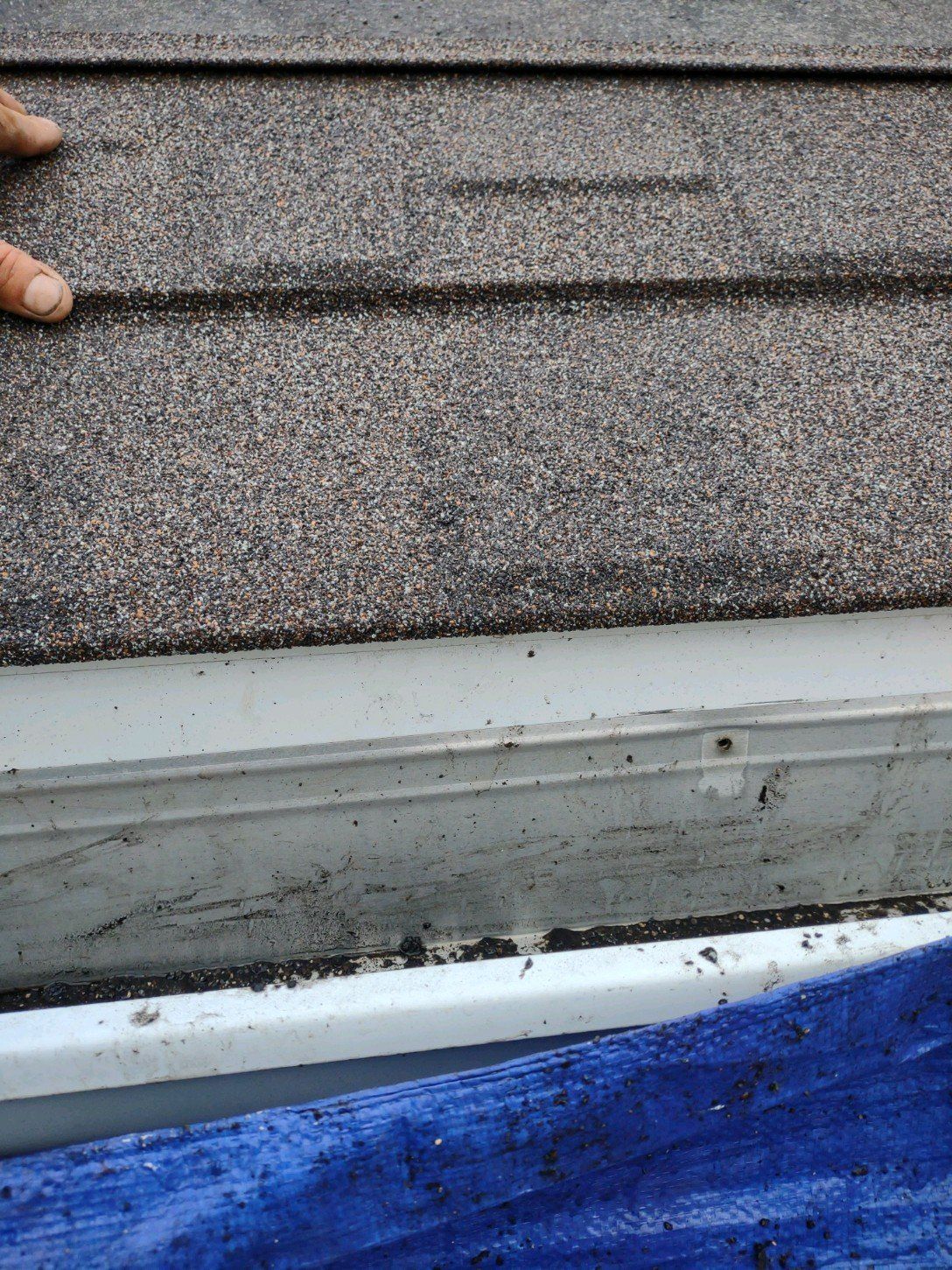 Close-up of roof shingles, white trim, and blue tarp with a hand at the top left.