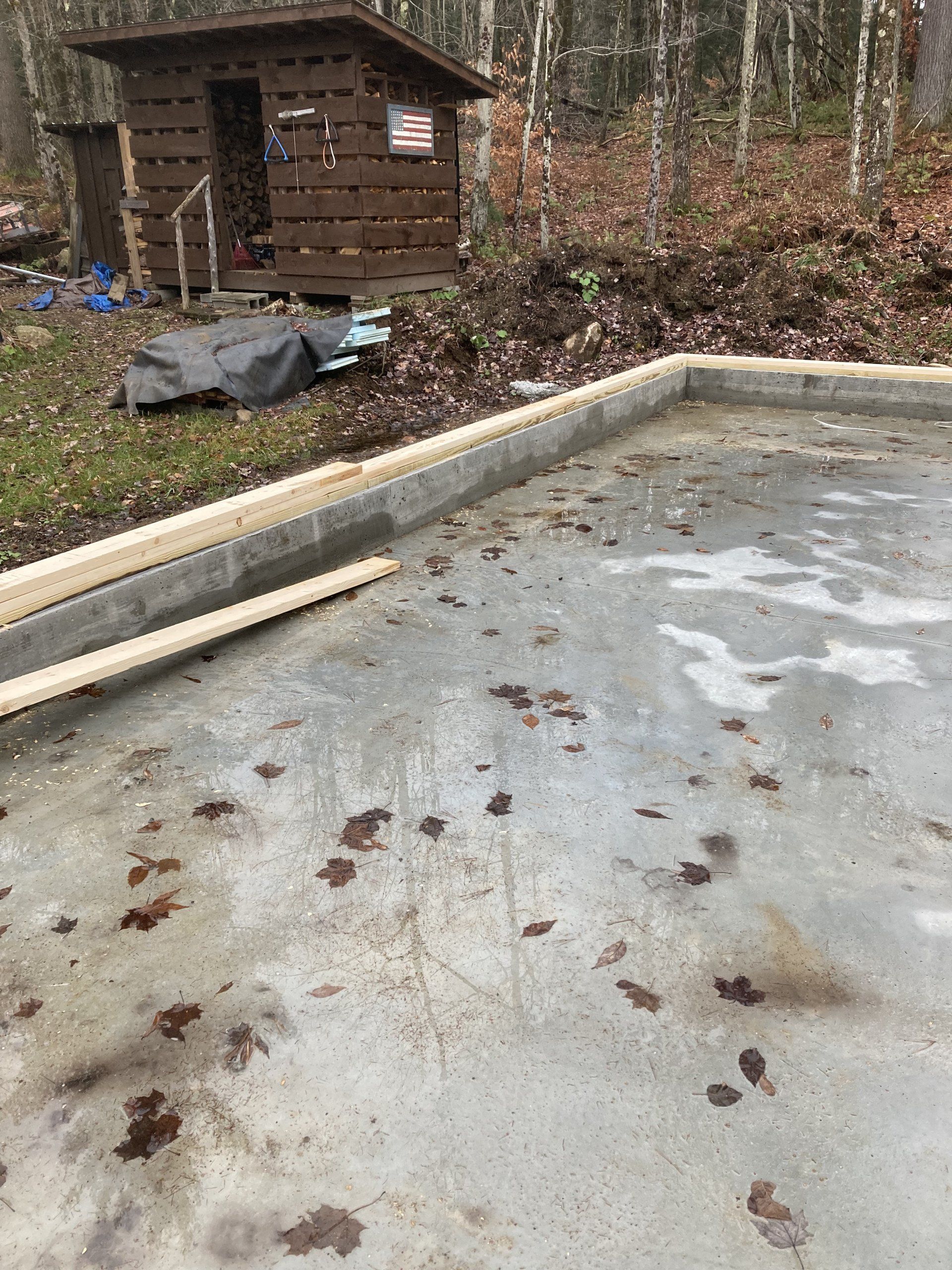 Concrete slab with leaves beside a small wooden shed in a wooded area
