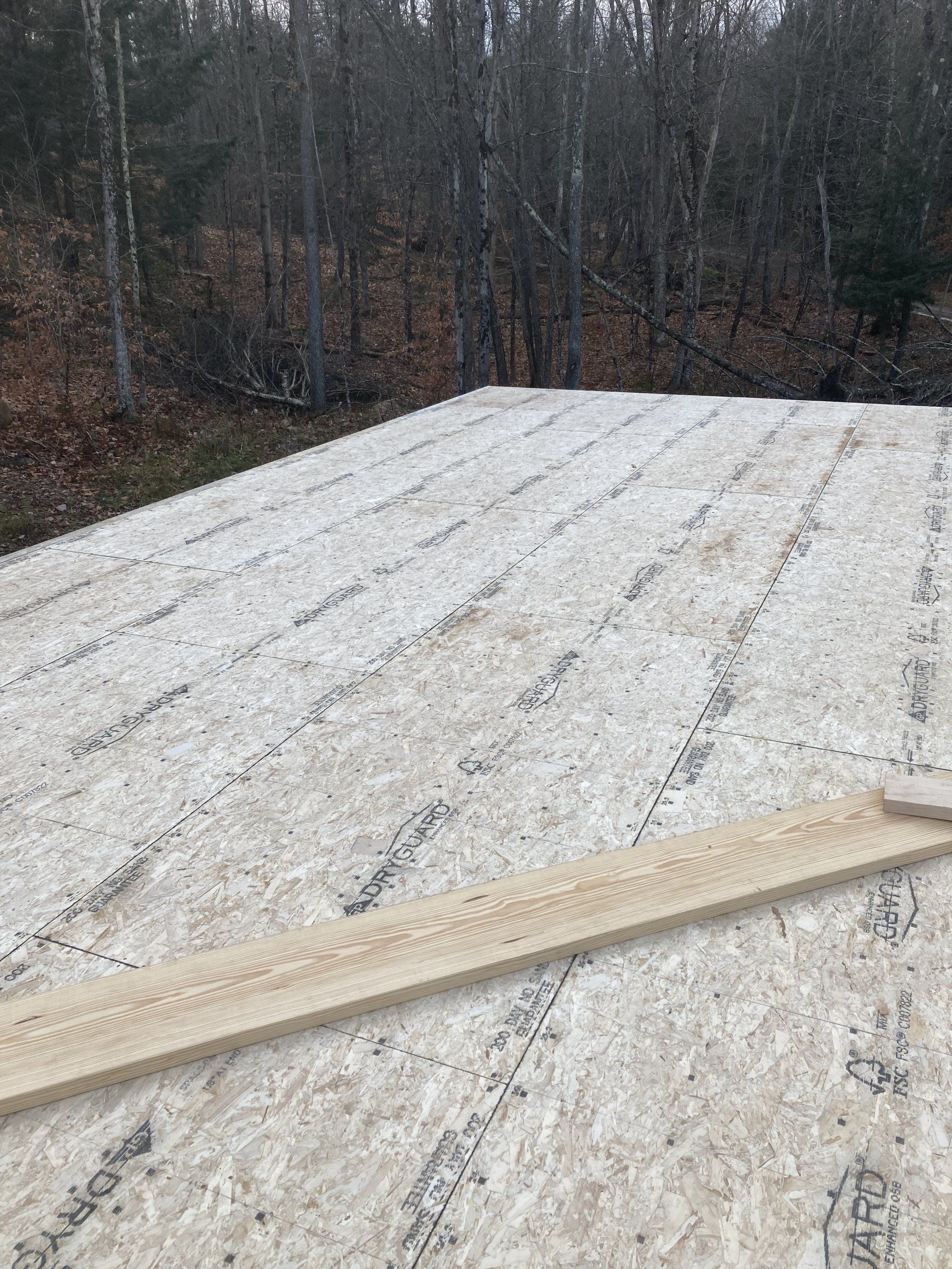 Snow-dusted flat rooftop with a wooden plank in the foreground, beside bare trees in a wooded area