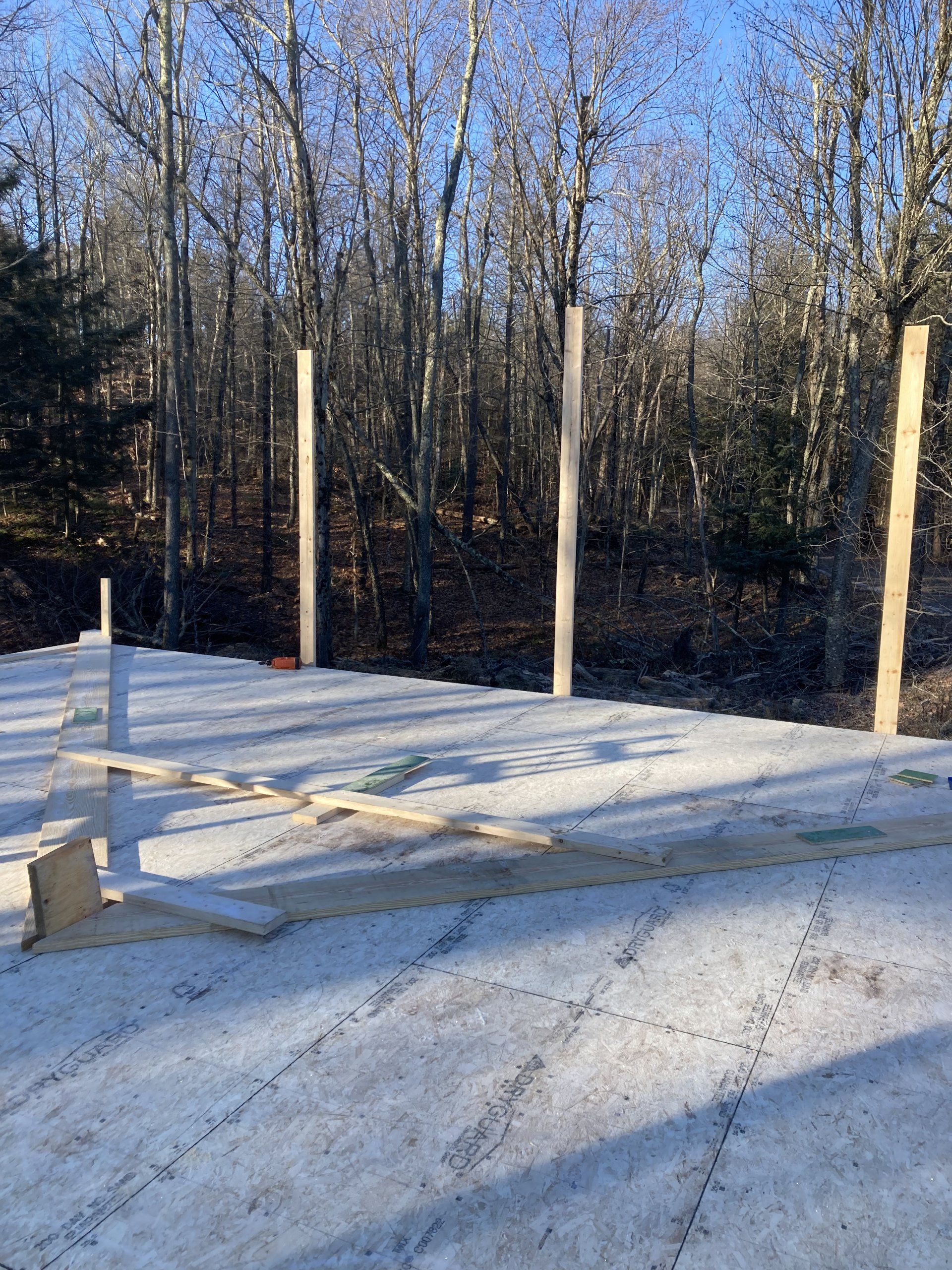 Concrete foundation slab with wooden posts under construction beside a wooded area