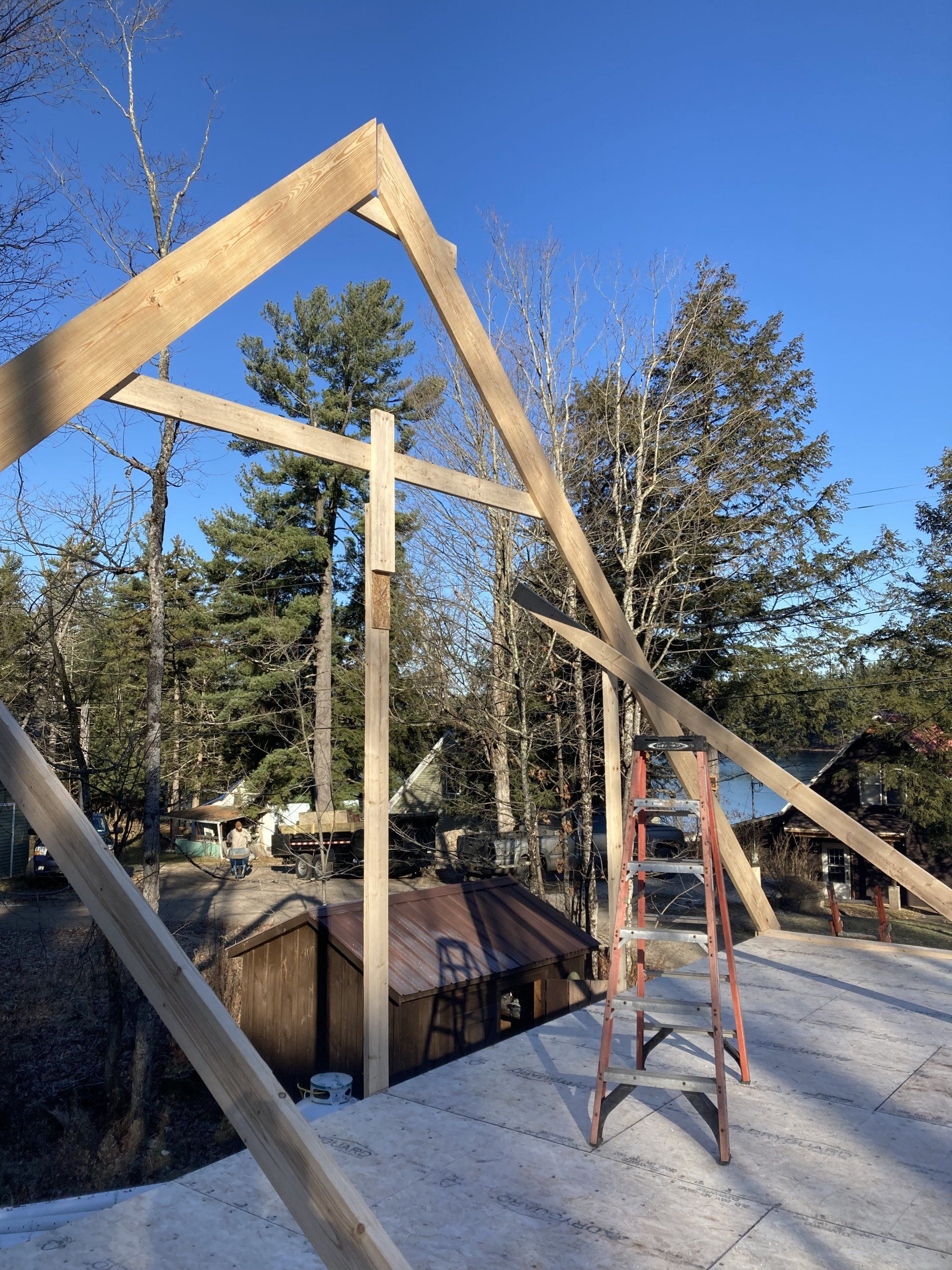 Wooden roof frame under construction on a sloped roof beside trees and a ladder
