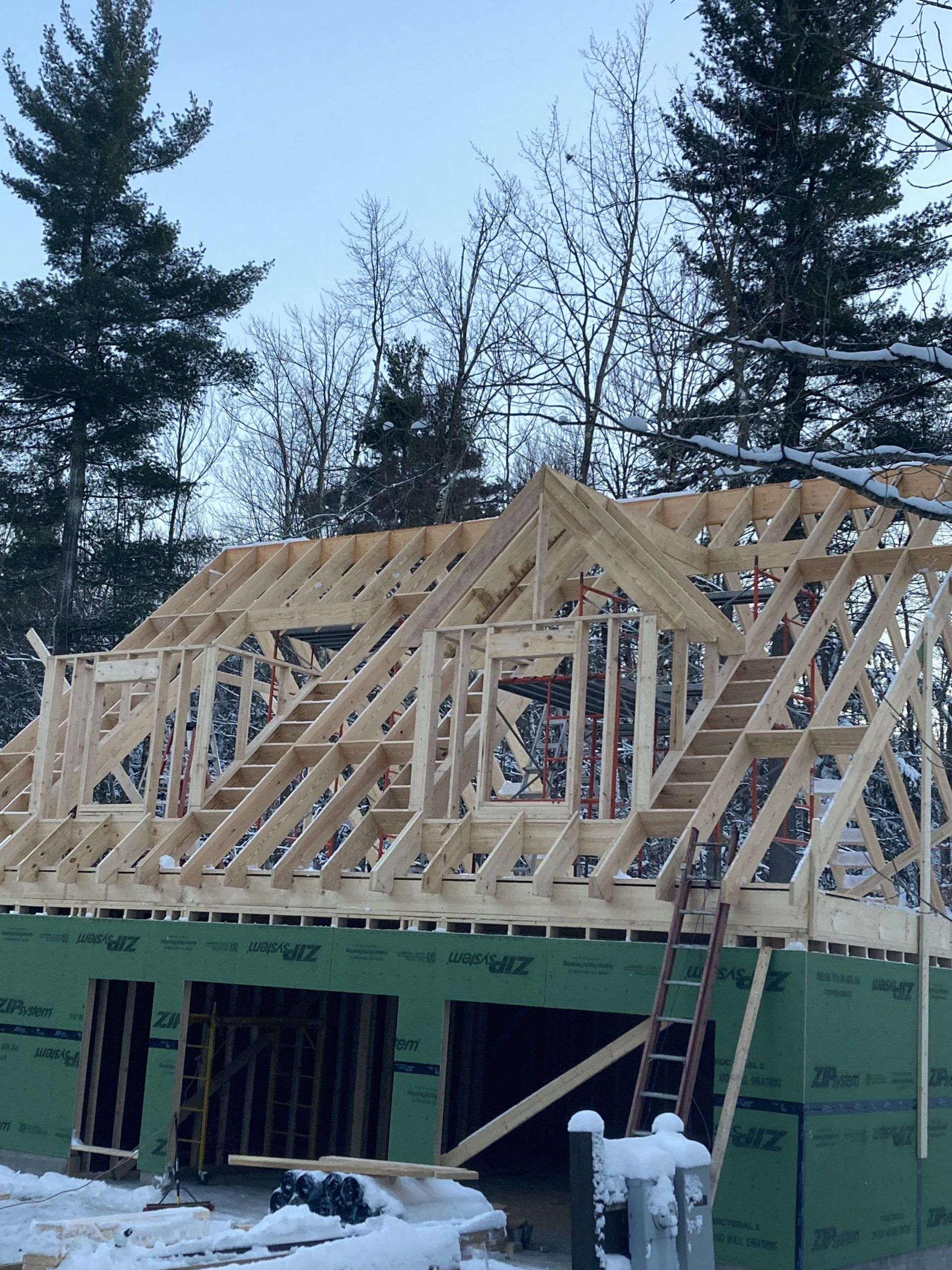 House under construction with exposed wooden roof trusses and green sheathing, surrounded by trees