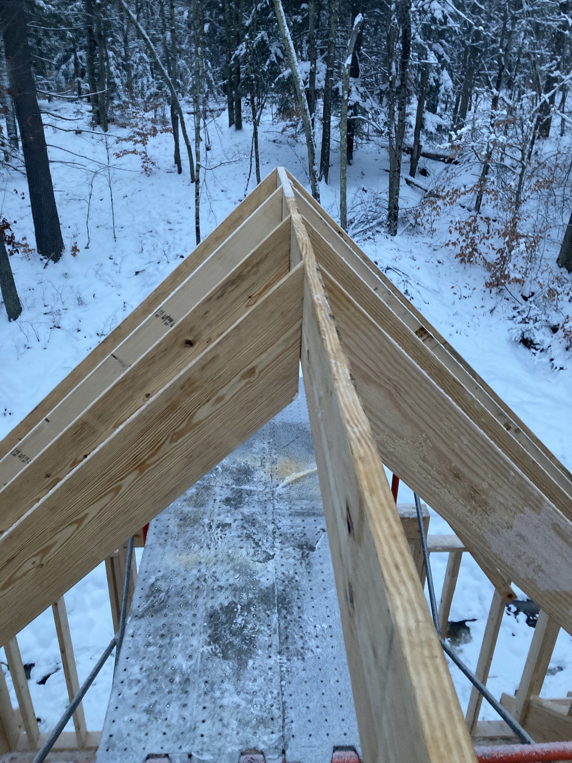 Snowy forest viewed from a wooden rooftop frame under construction
