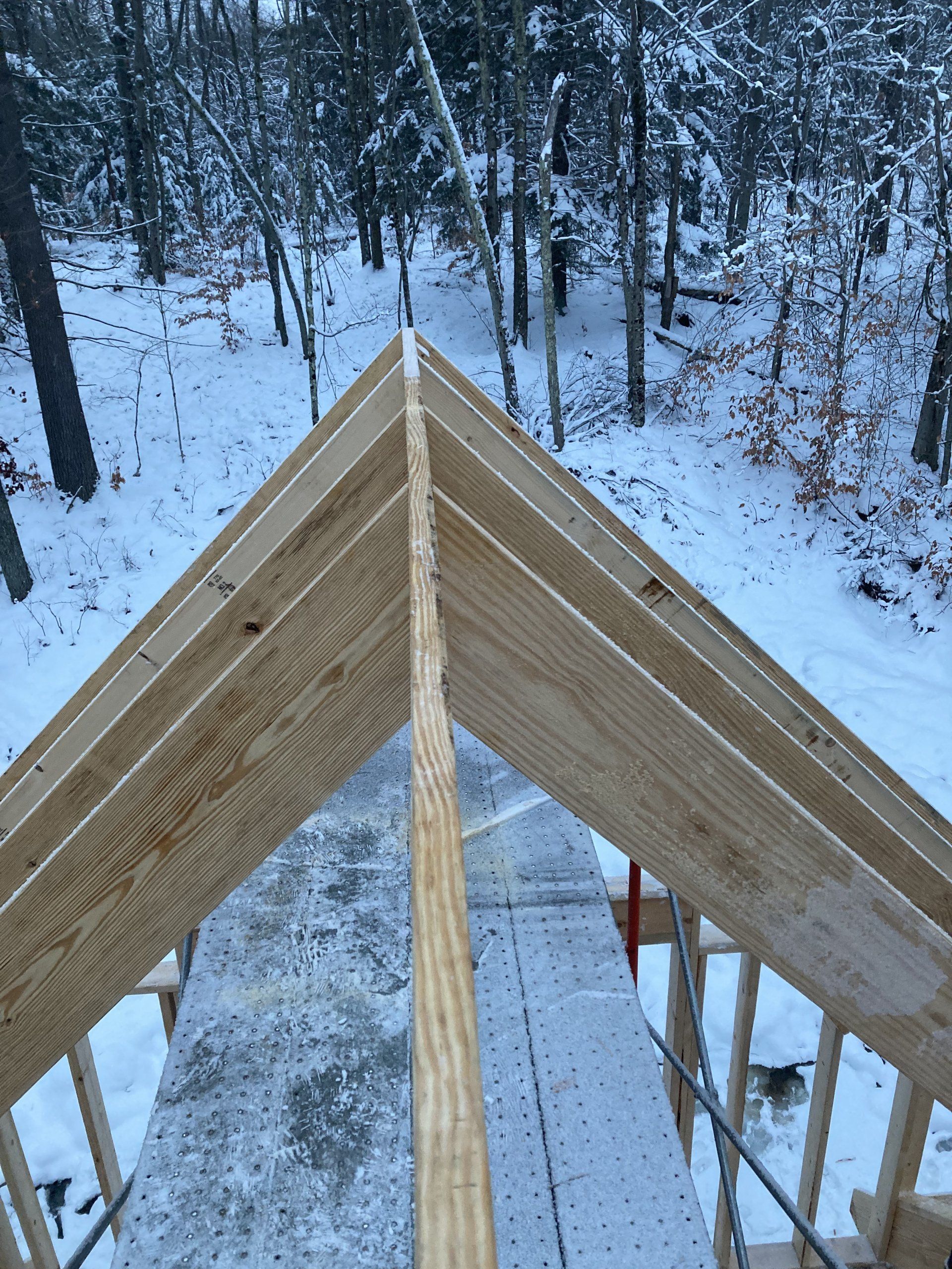 Snowy woodland view from a roof peak under construction, with wooden rafters framing a winter forest.