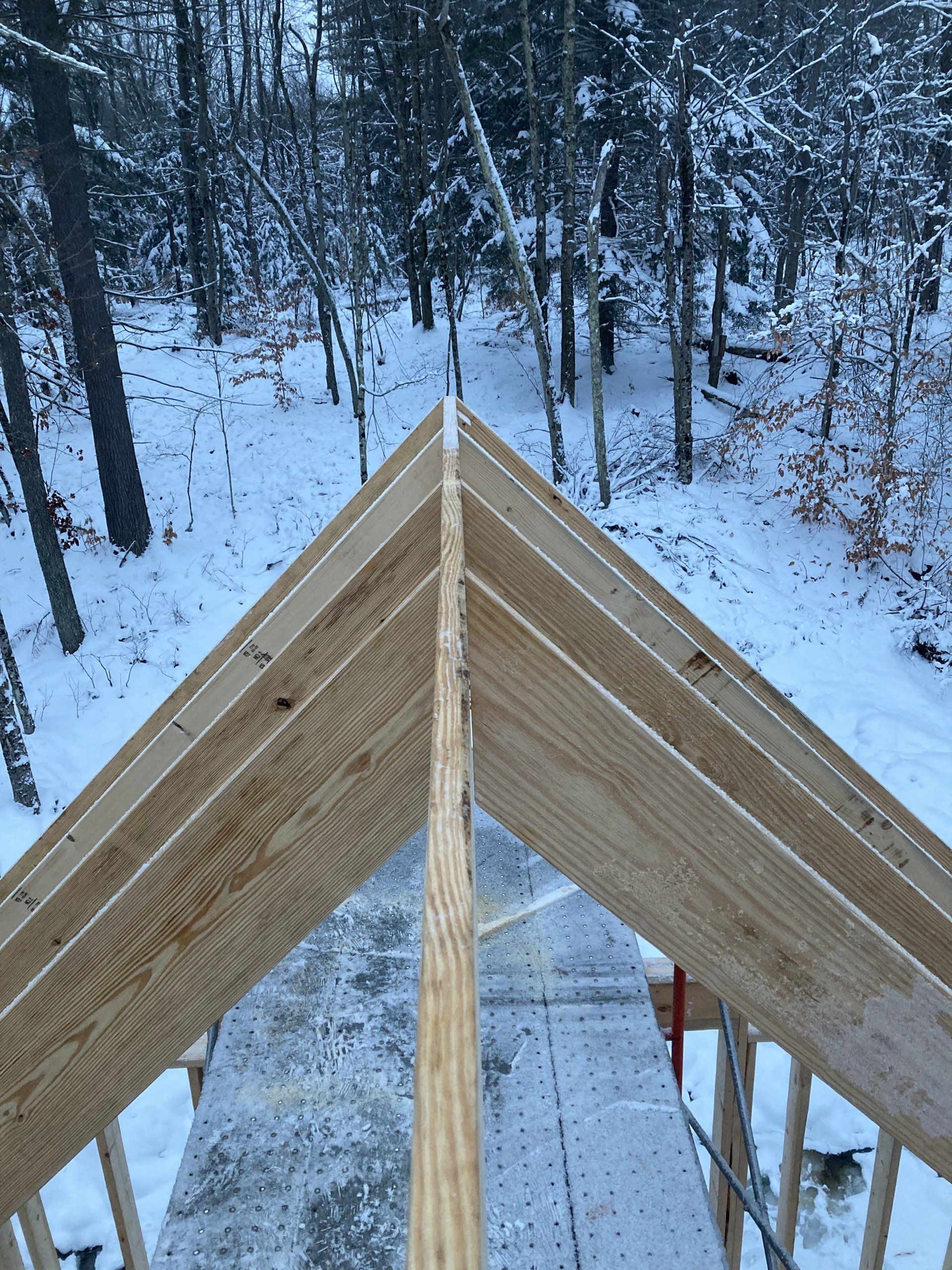 Wooden roof trusses rising above a snowy forest site, viewed from the peak.