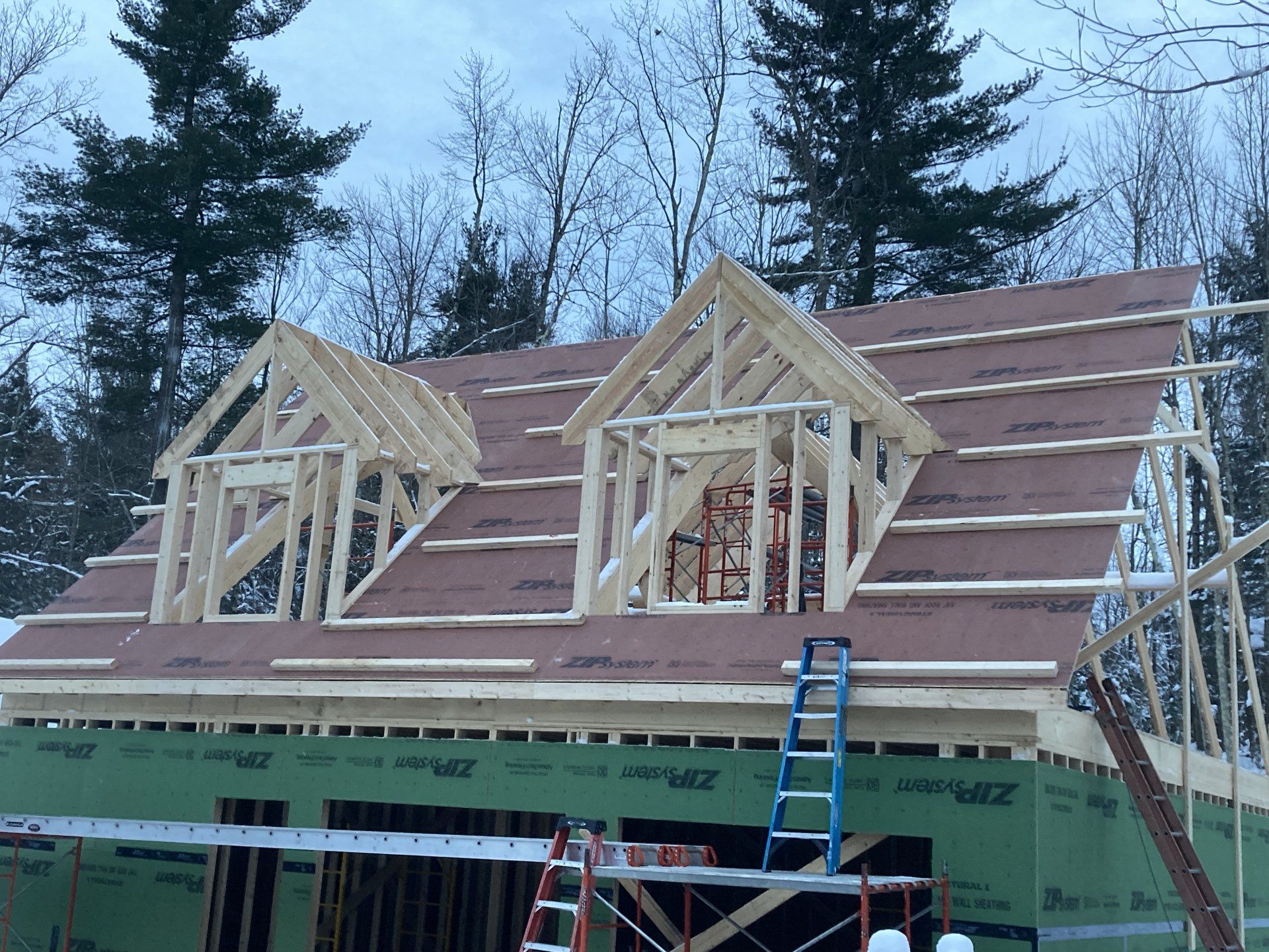 House under construction with roof trusses, ladder, and green sheathing under overcast sky