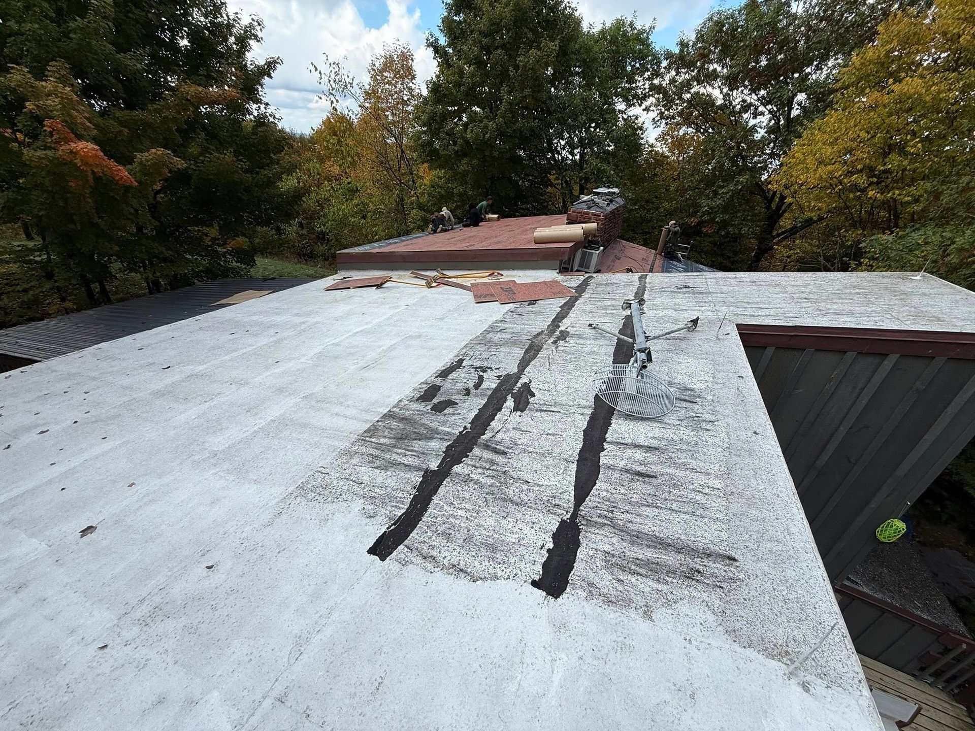 Flat white rooftop with black repair strips beside trees and a small shed roof