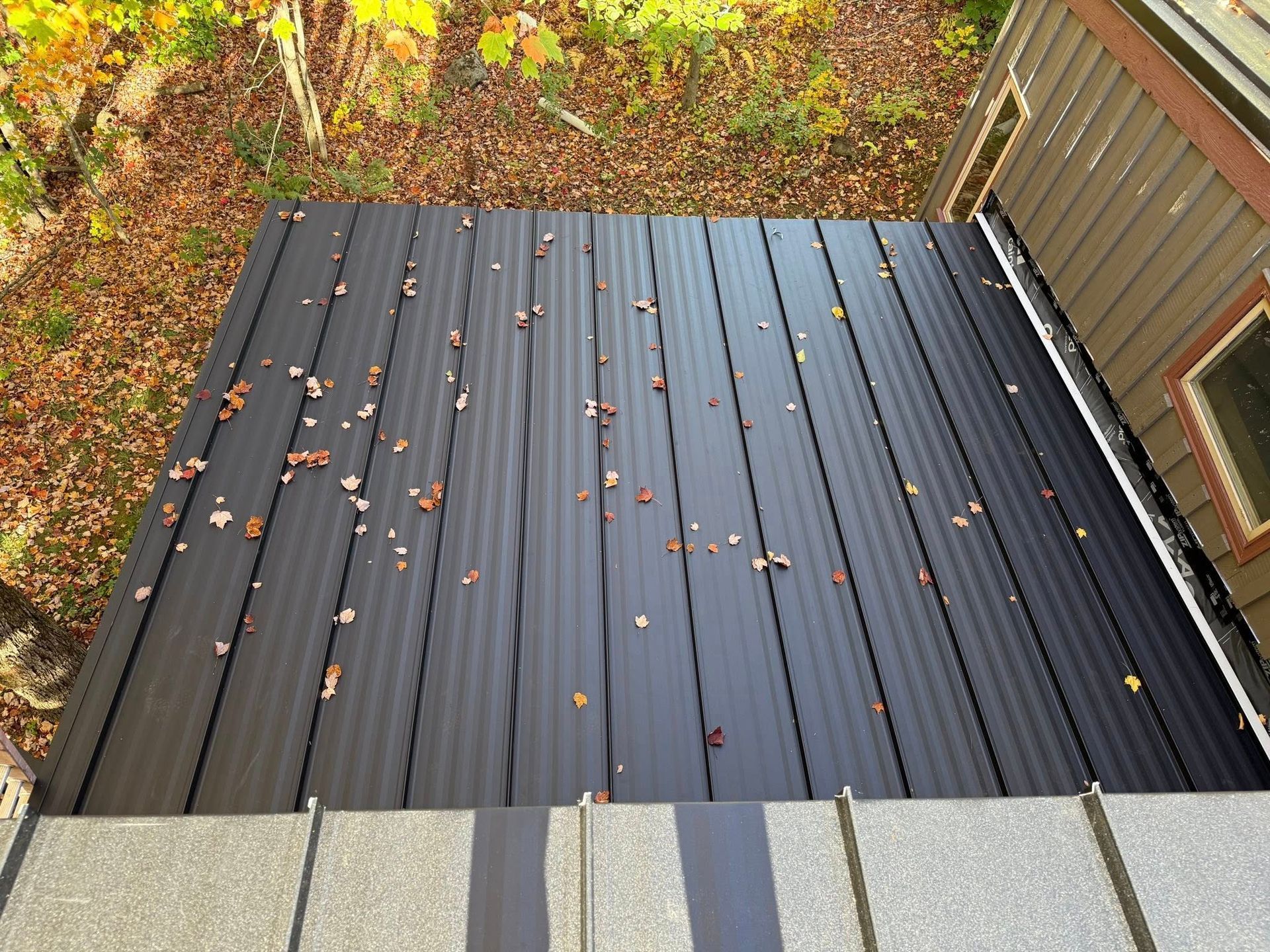 Rain-soaked black metal roof with scattered autumn leaves beside a house and deck railing