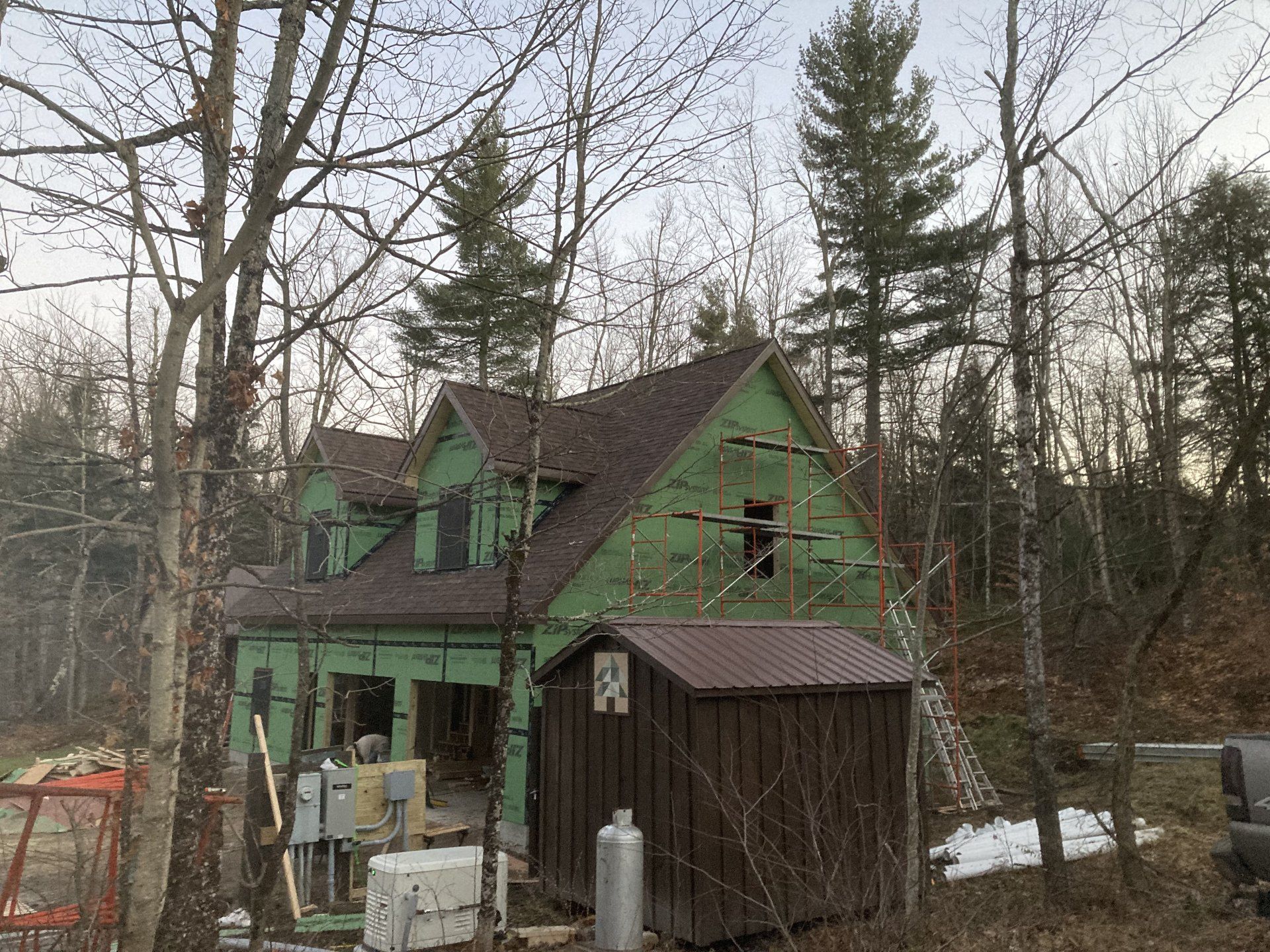 Small green house with a brown shed in a wooded yard, with bare trees and light snow.