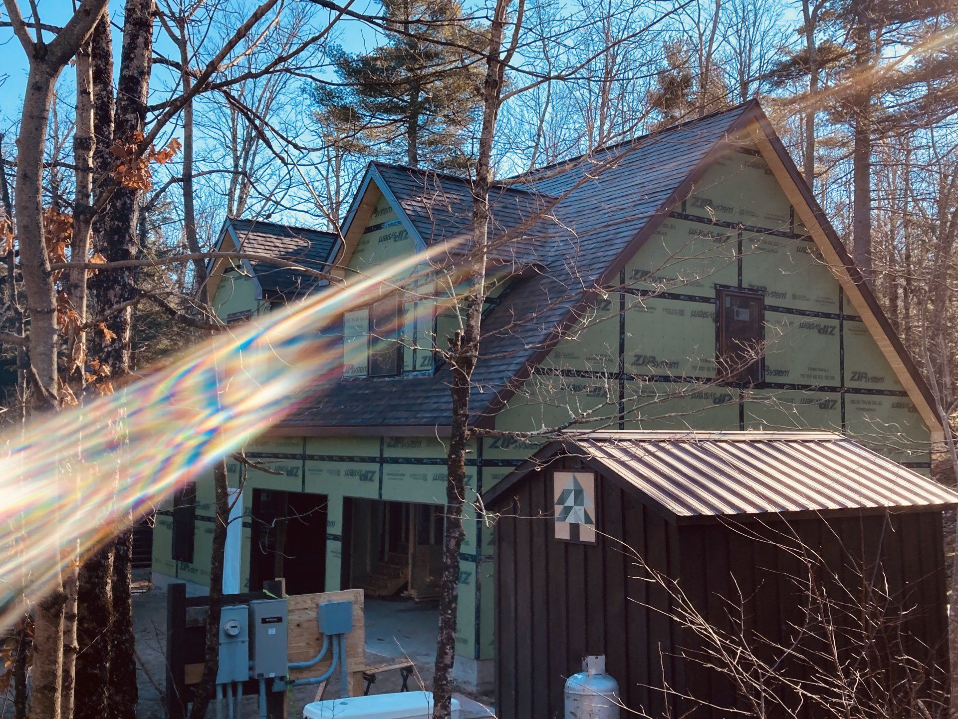Green house in leafless woods with rainbow lens flare across the front.