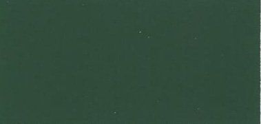 Dark green surface with a few tiny white specks near the center.