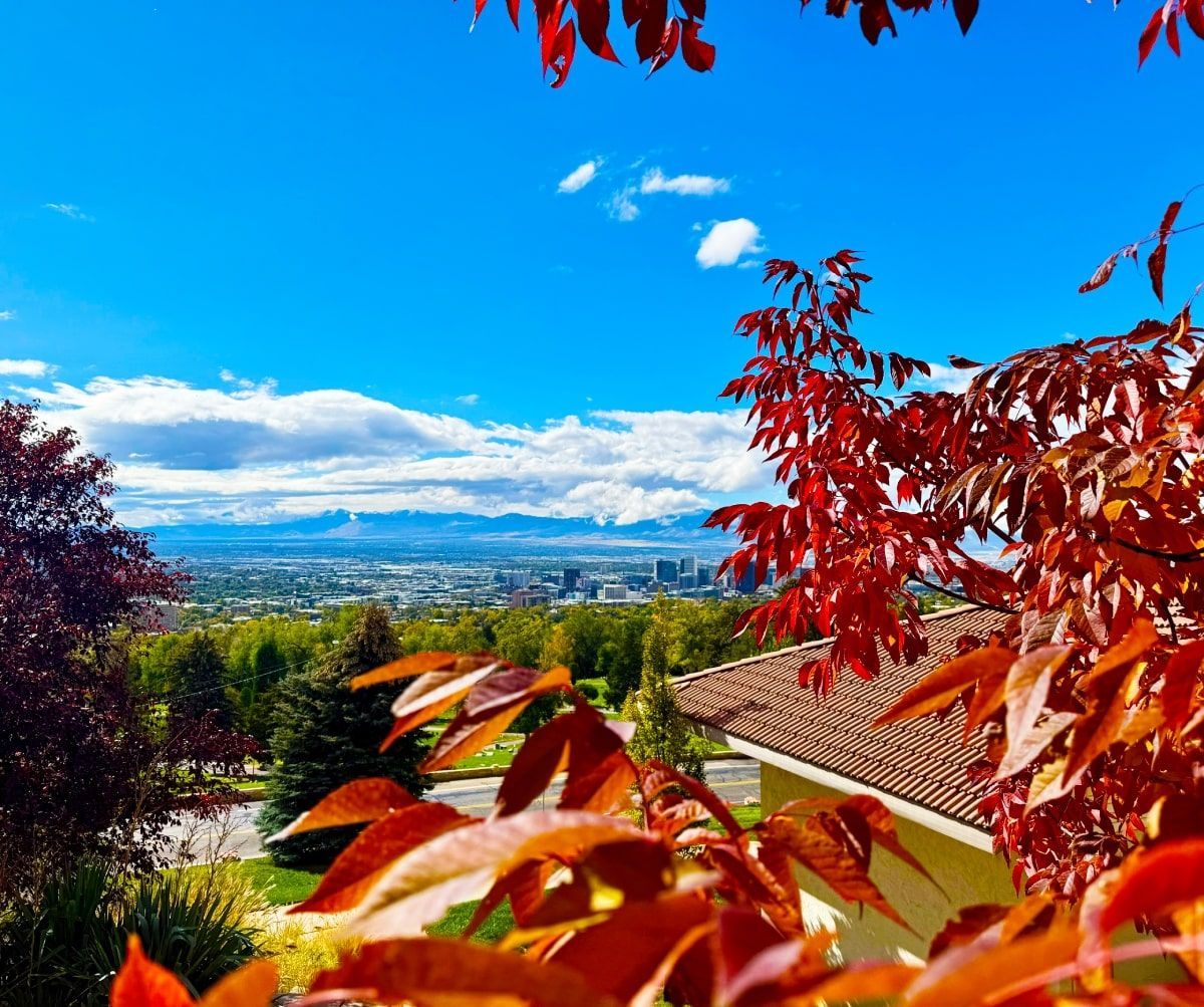Red autumn leaves frame a distant cityscape under a bright blue sky with clouds.
