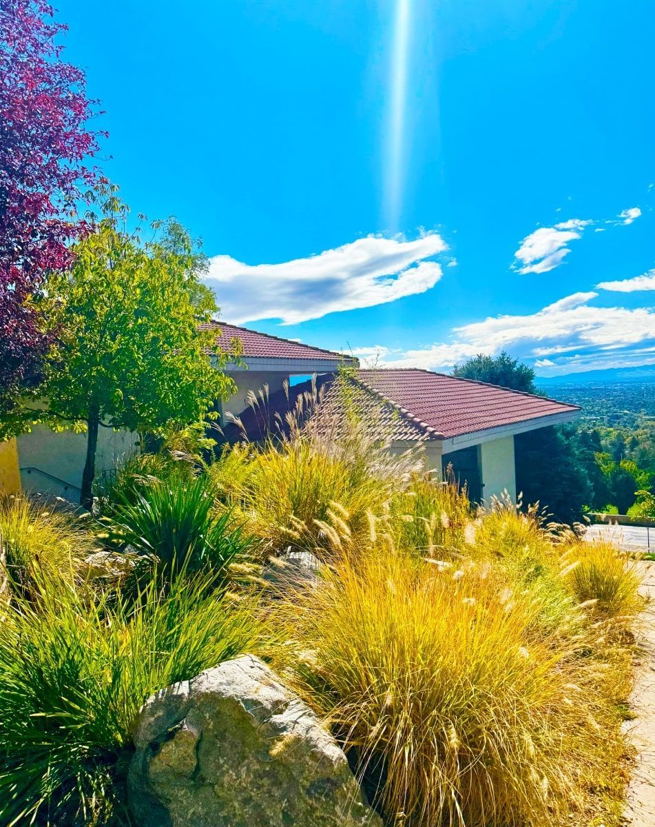 House with red tile roof, surrounded by colorful trees and golden grass under a bright blue sky.