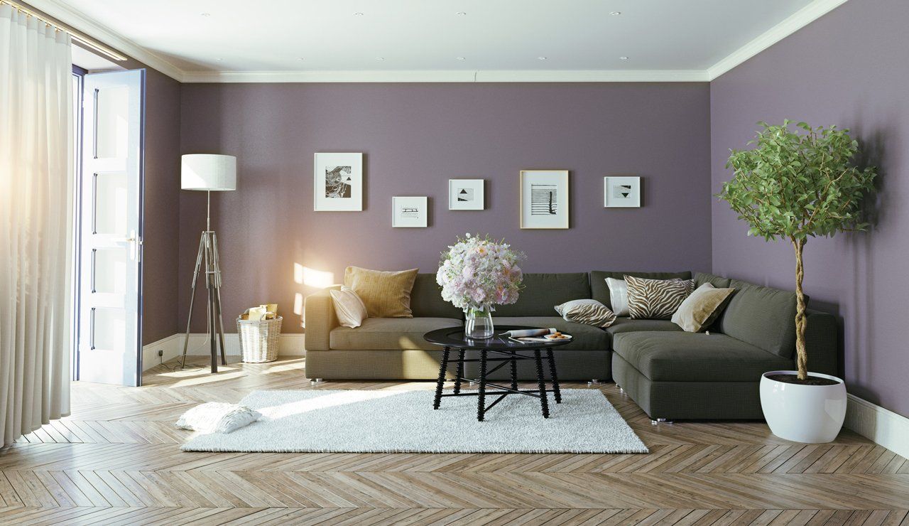 Modern living room with soft purple walls, neutral furniture, and stylish decor in York.