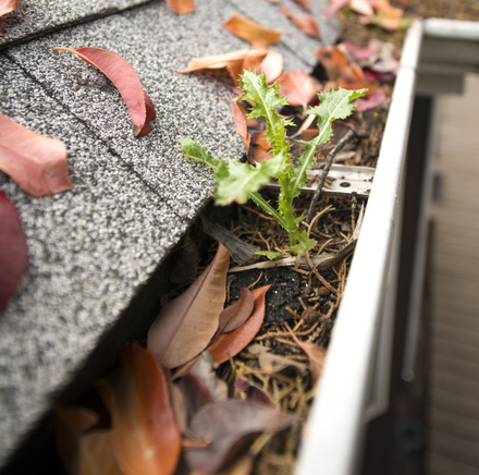 Dark grey plastic rain gutter — Leesburg, FL — USA Seamless Gutters