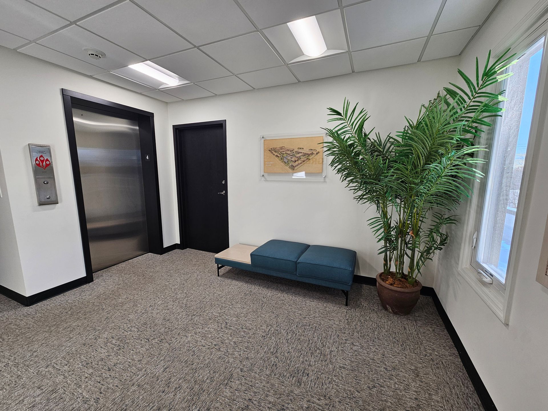 A hallway with an elevator , a bench , and a potted plant.