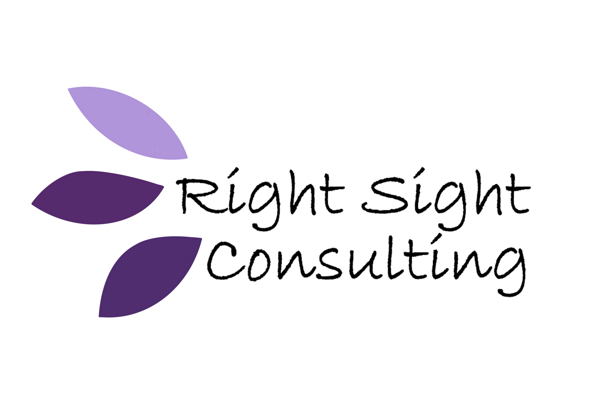 The logo for right sight consulting is purple and black.