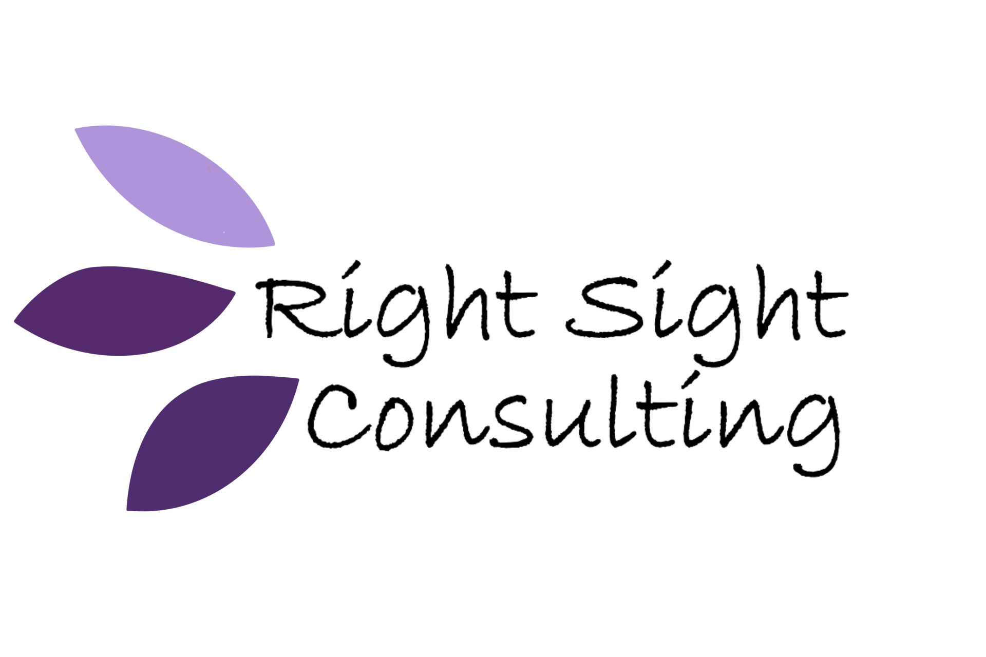 A logo for right sight consulting with purple leaves