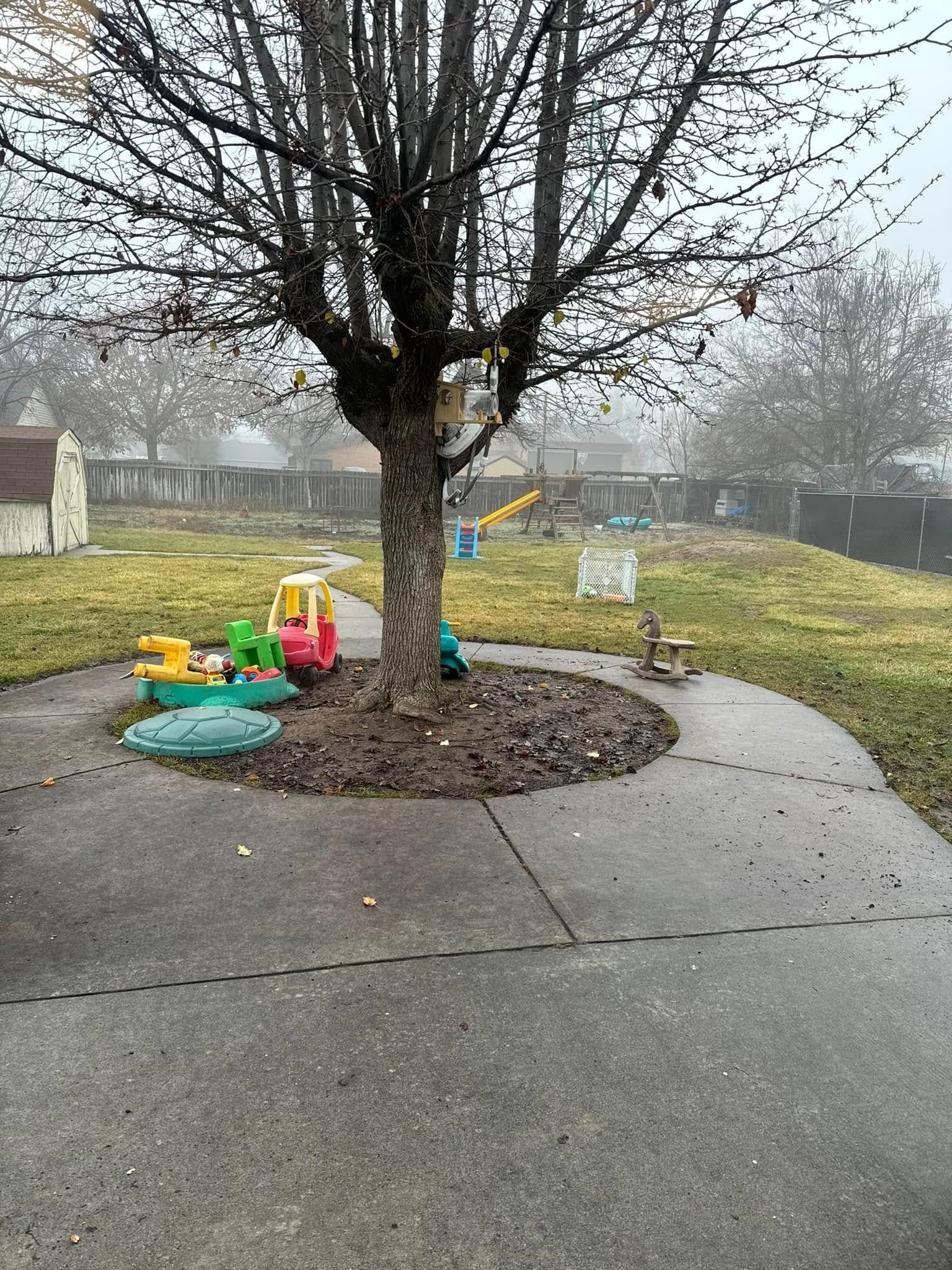A tree sits in the center of a paved area with colorful plastic play equipment at its base on a foggy day.