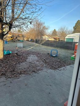 A backyard seen through a window on a cold morning with frost on the grass, fallen leaves, and scattered blue toys.