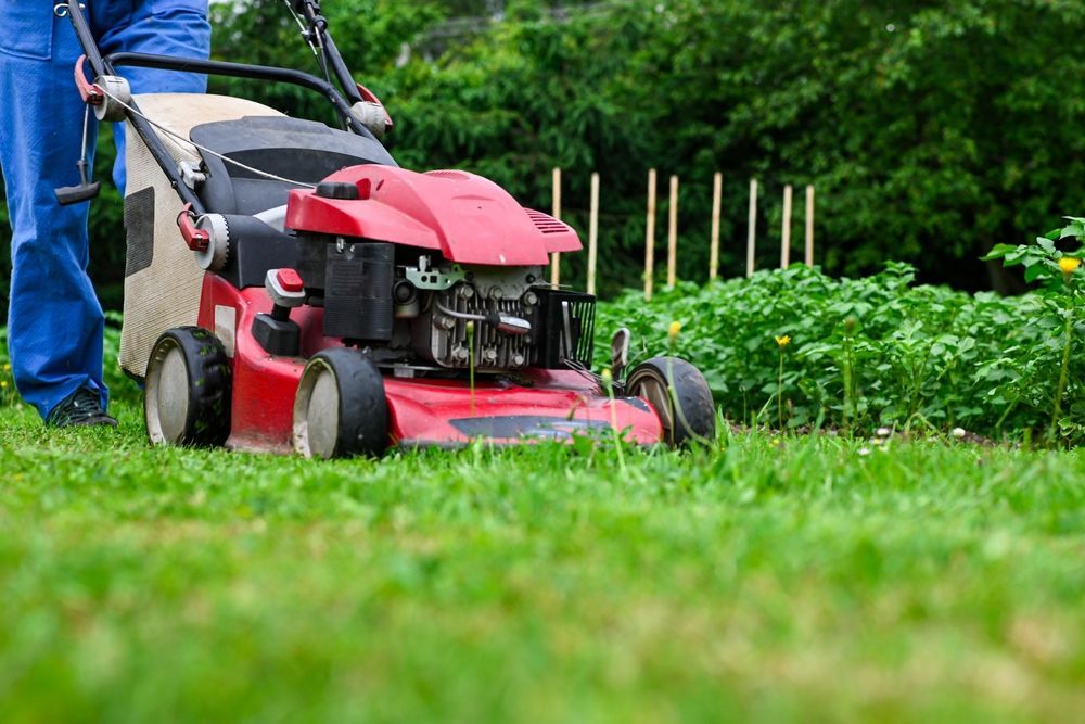 A person in blue work pants pushes a red lawn mower across a green lawn with a garden in the background.
